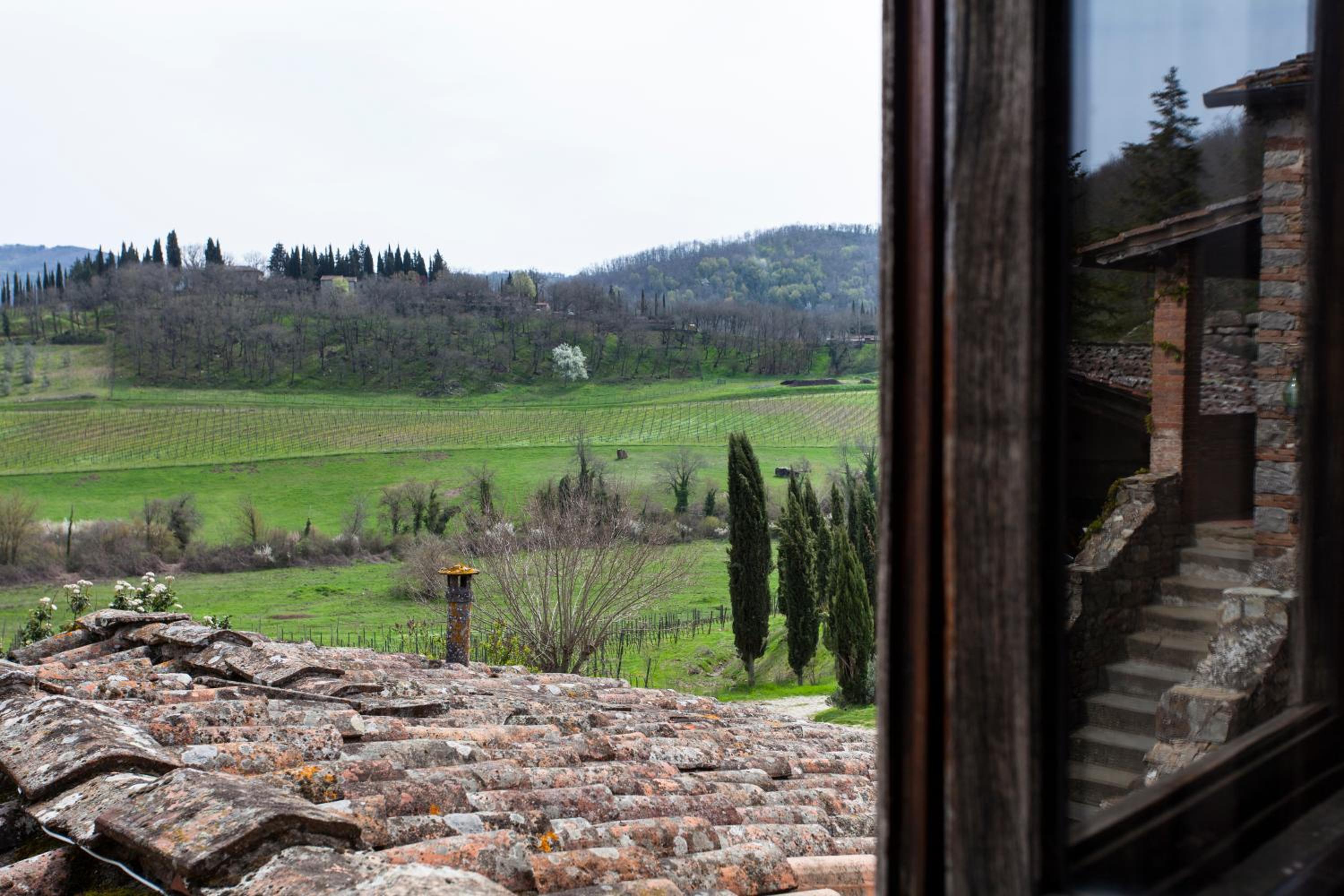 Radda in Chianti Vacations - Podere Terreno alla via della volpaia - Property Image 12