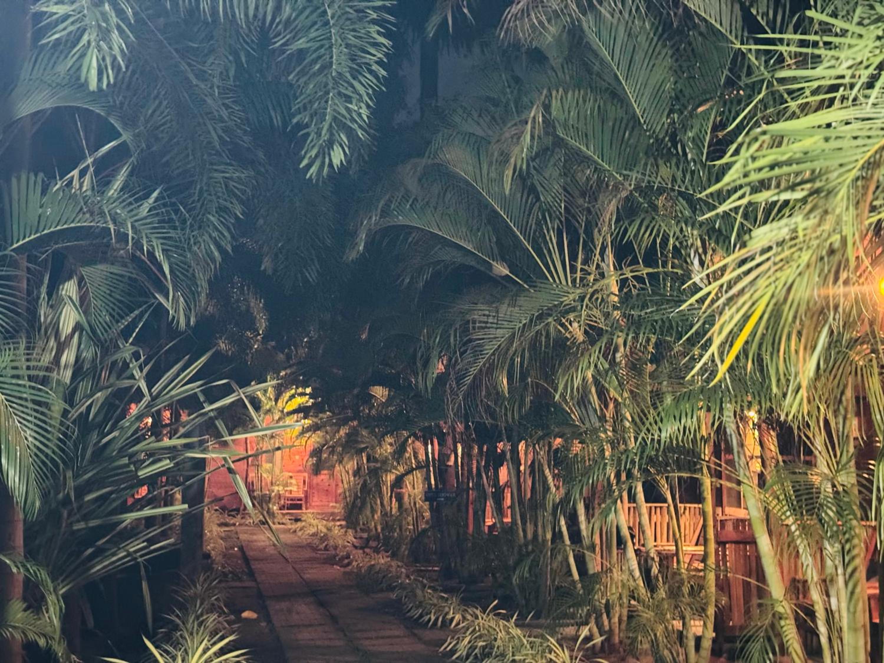 Sasvi Cabana, photo 67
