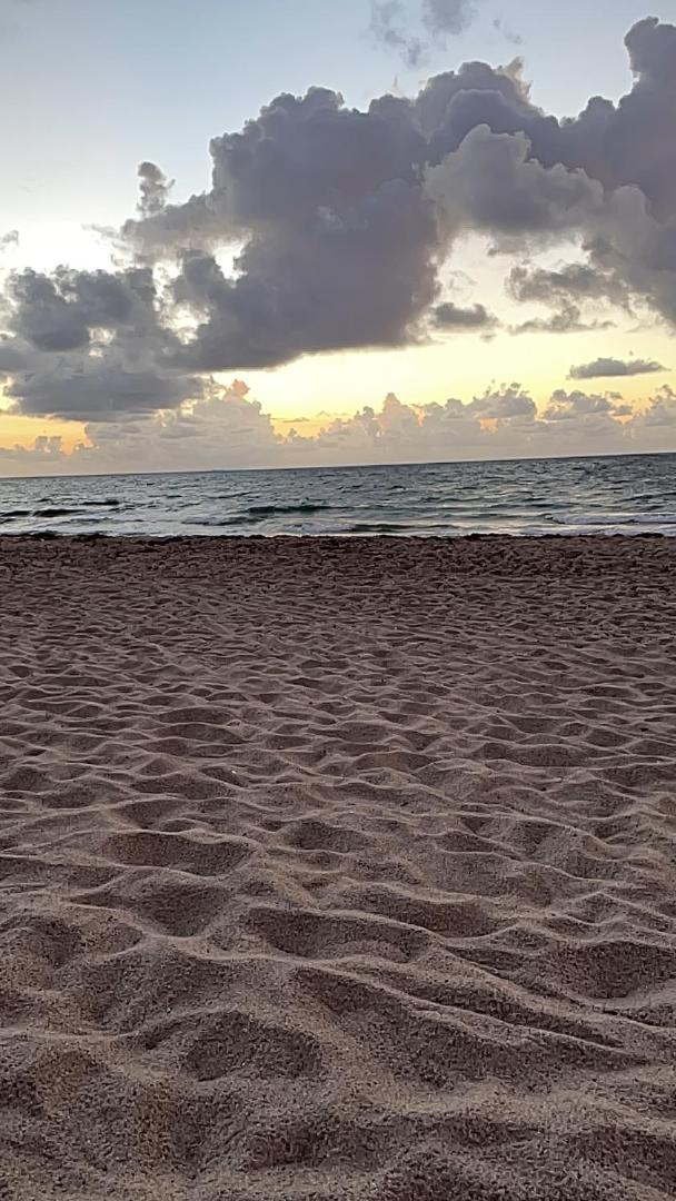 Tropical Oasis Private Guest Suite min to Wilton Drive-Ft Lauderdale Beaches