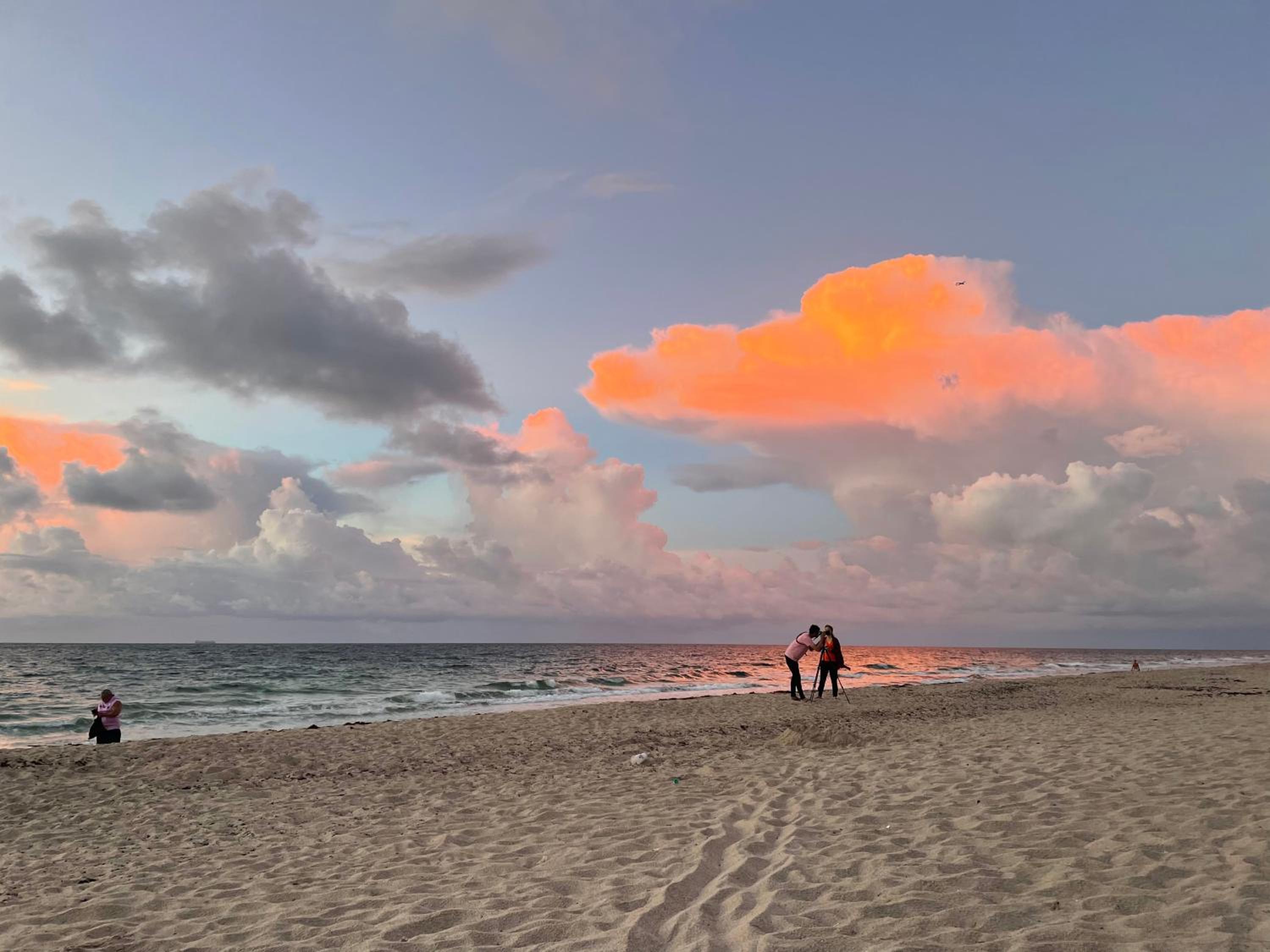 Tropical Oasis Private Guest Suite min to Wilton Drive-Ft Lauderdale Beaches