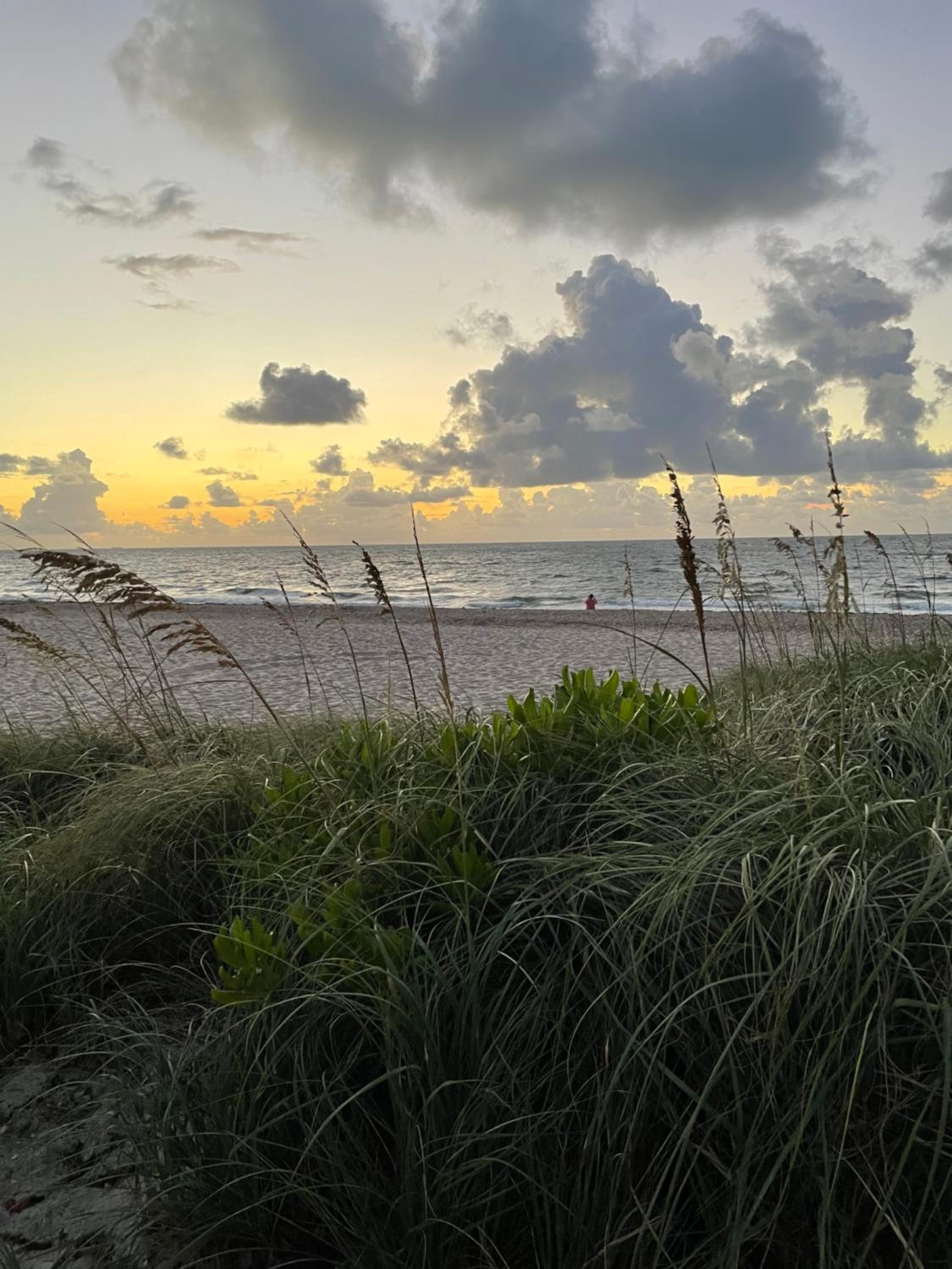 Tropical Oasis Private Guest Suite min to Wilton Drive-Ft Lauderdale Beaches