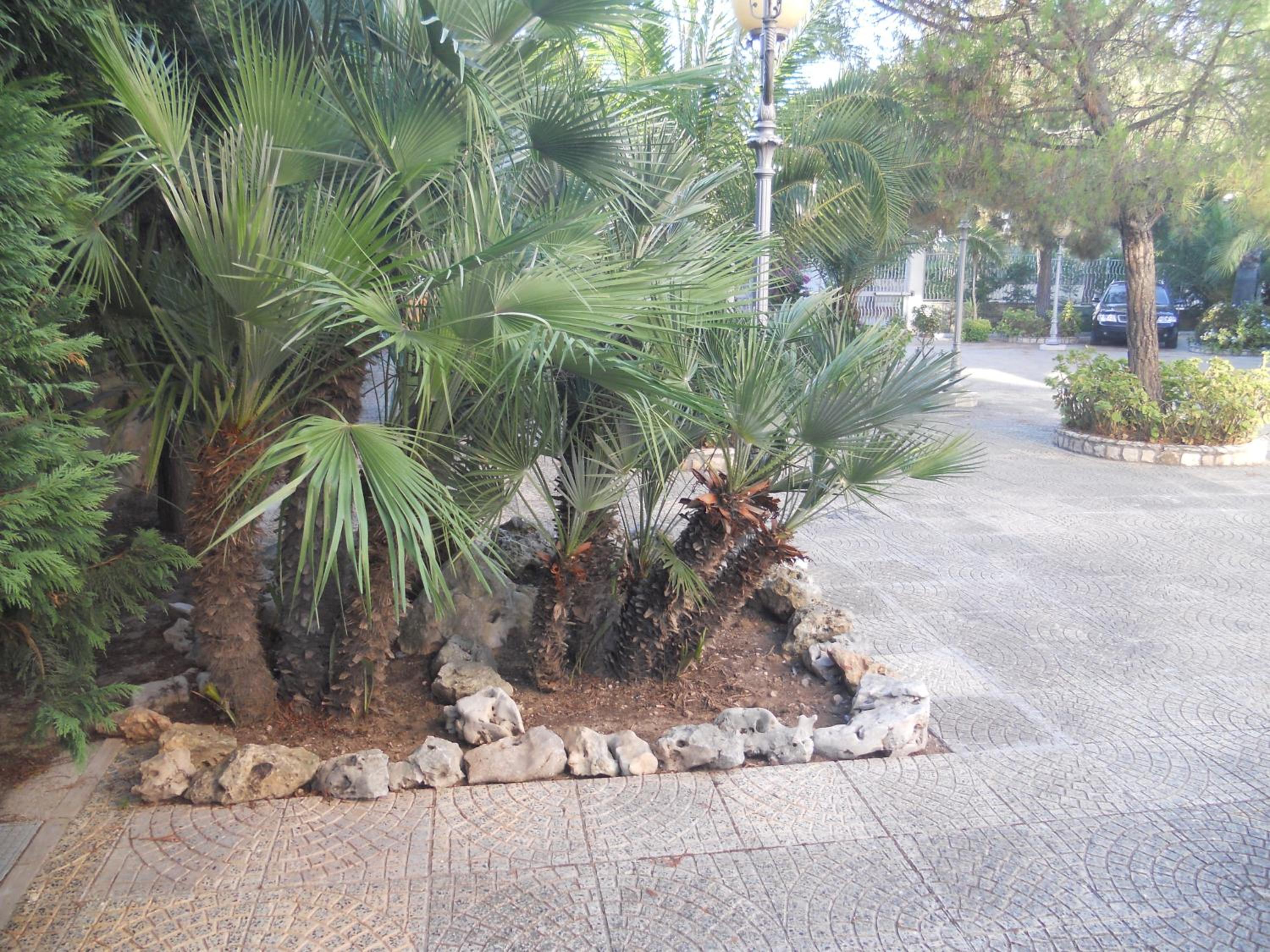 Villa Erry