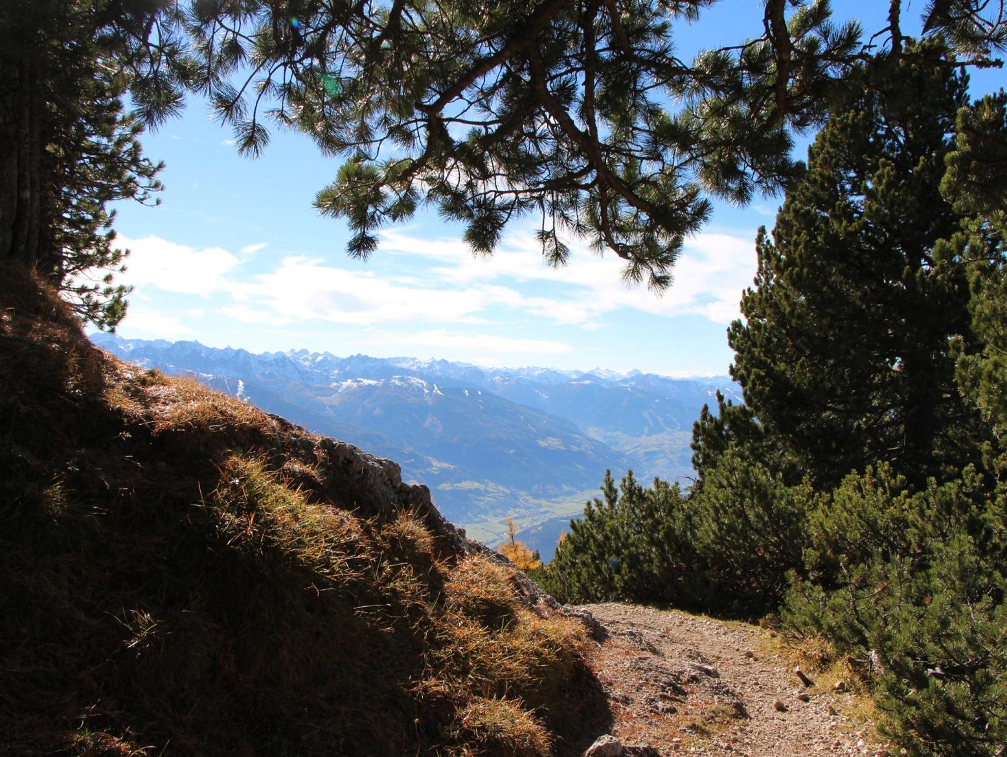 Photo 41