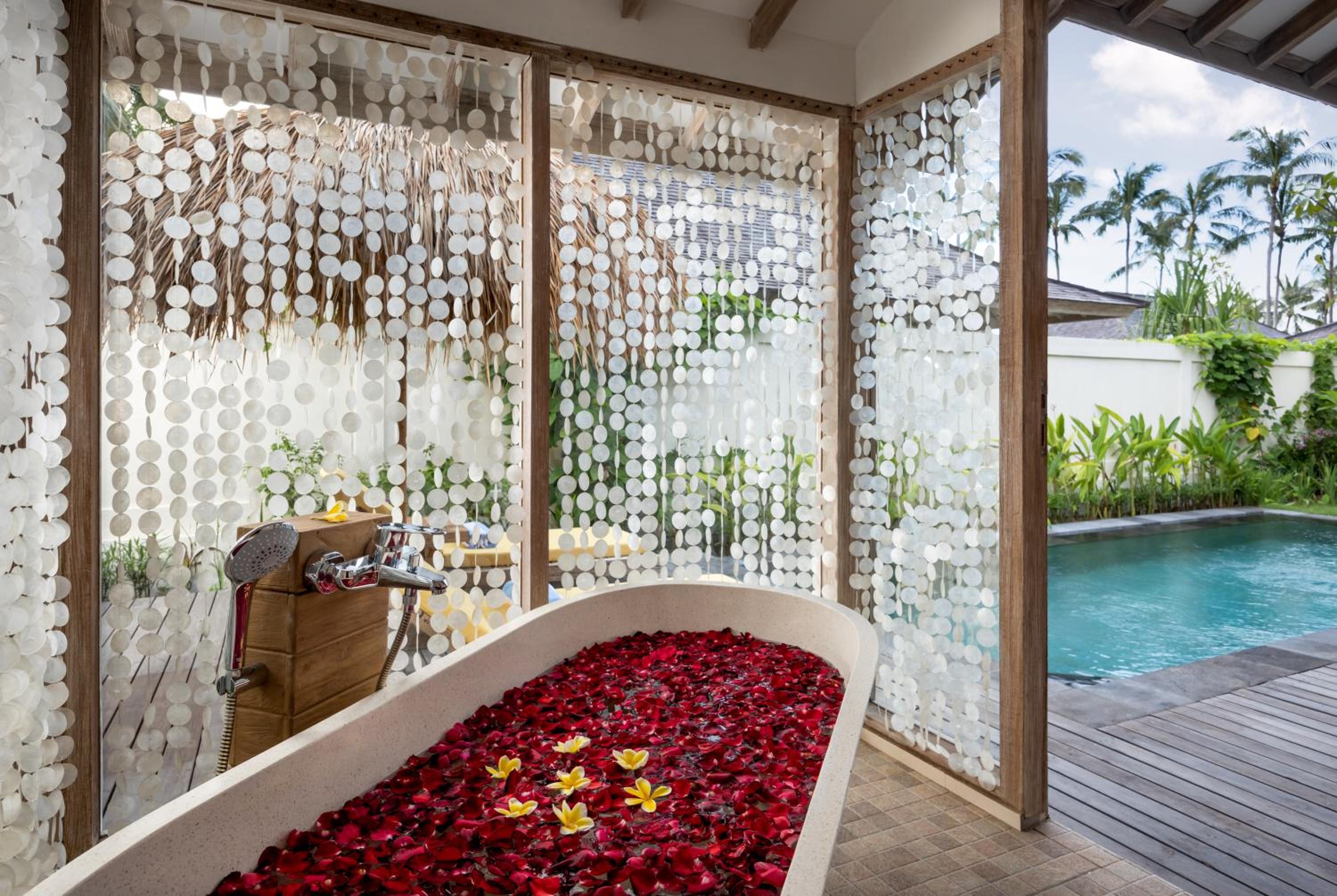 Seven Dreams A Pramana Experience