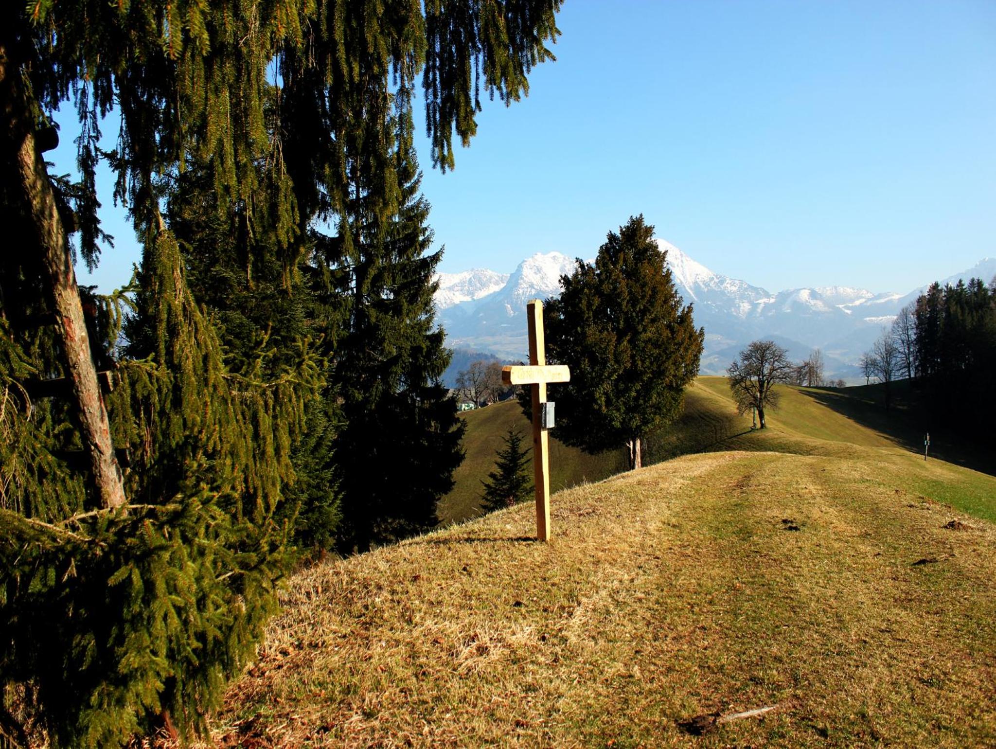 Photo 38