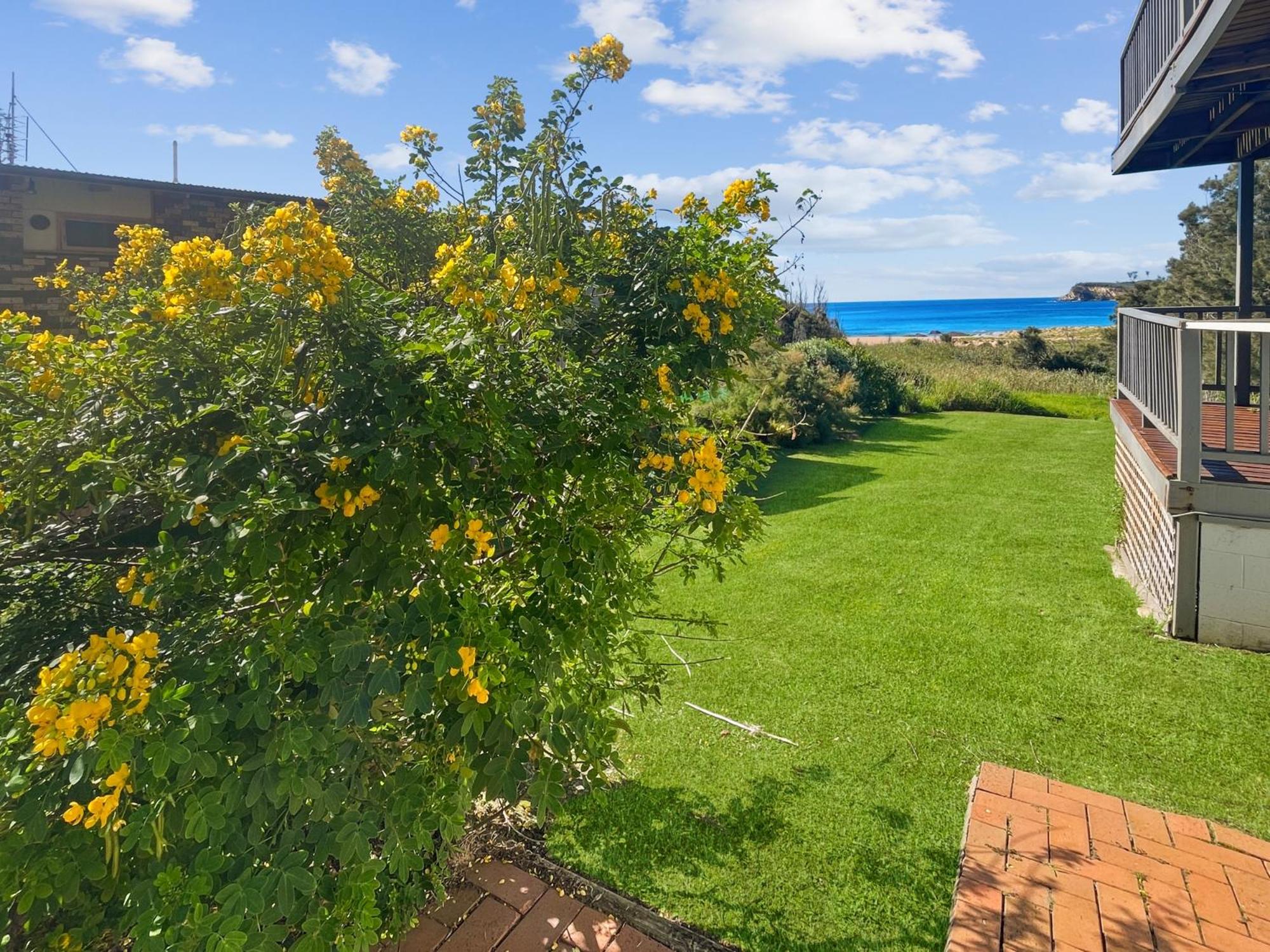 Oceanfront 4-Bed Haven with BBQ & Alfresco Dining