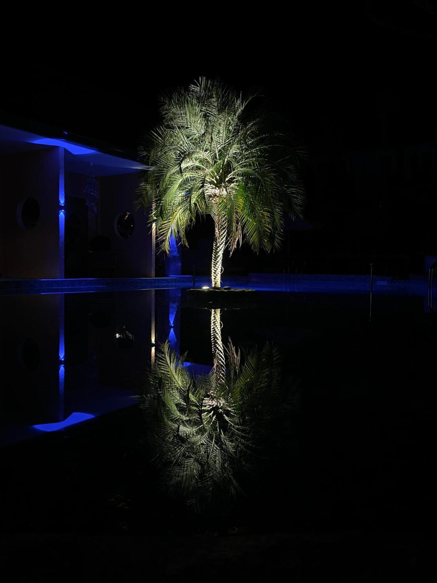 P1 Resort
