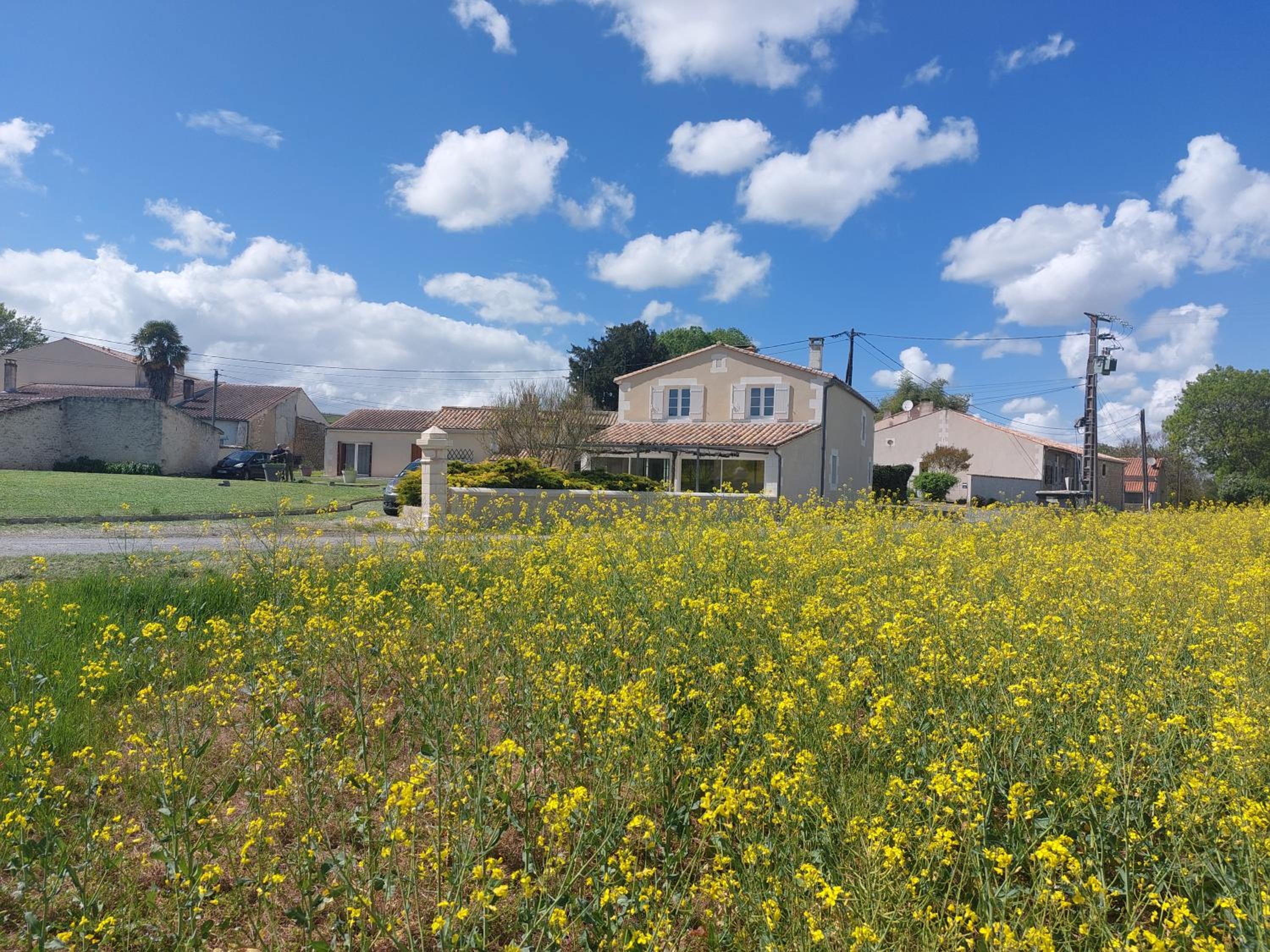 Gîte Chelona Vinifera - parc arboré - Chelona'Loc