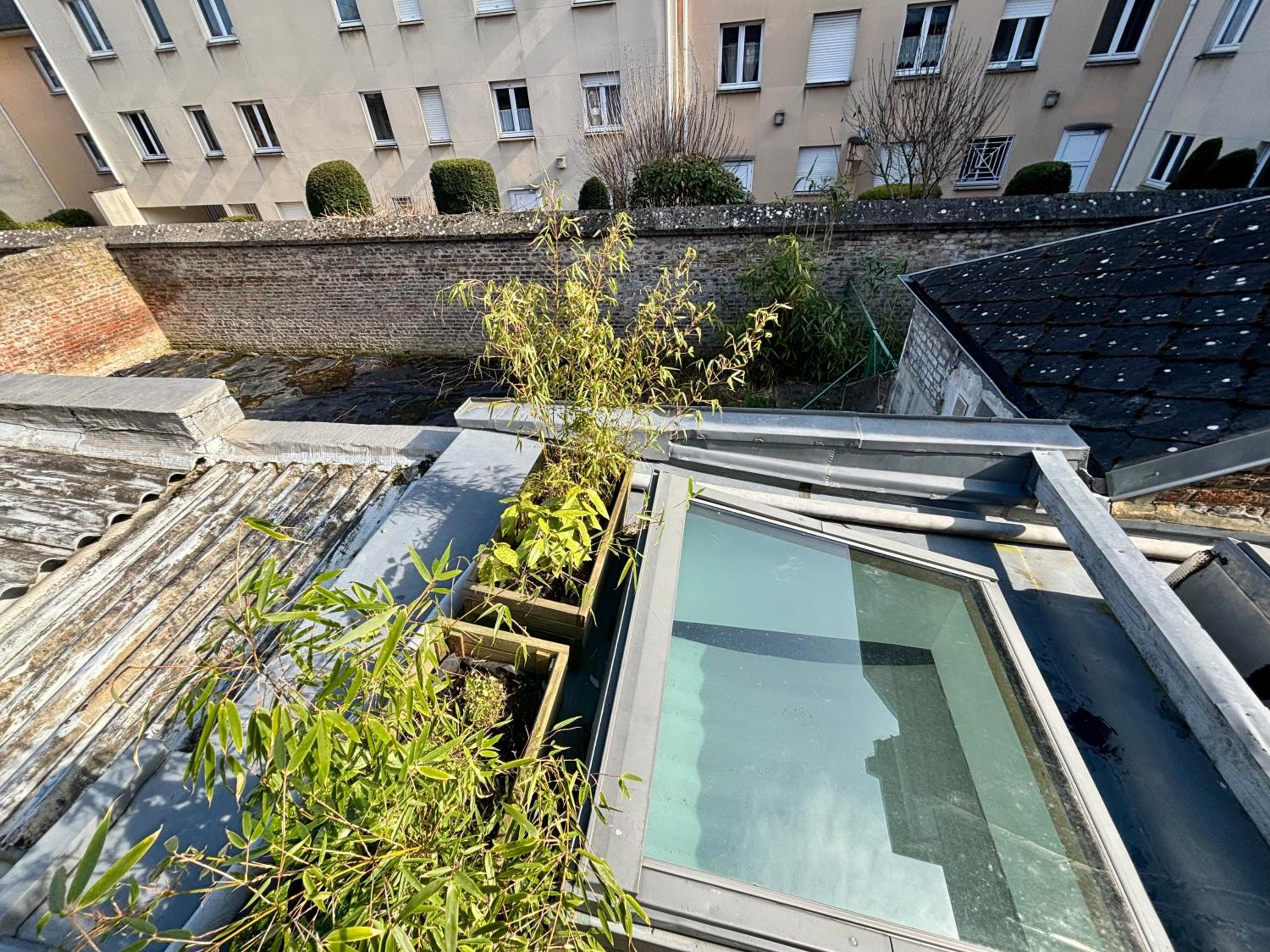 Jungle Studio - 2P à 4P -Henriville view 2