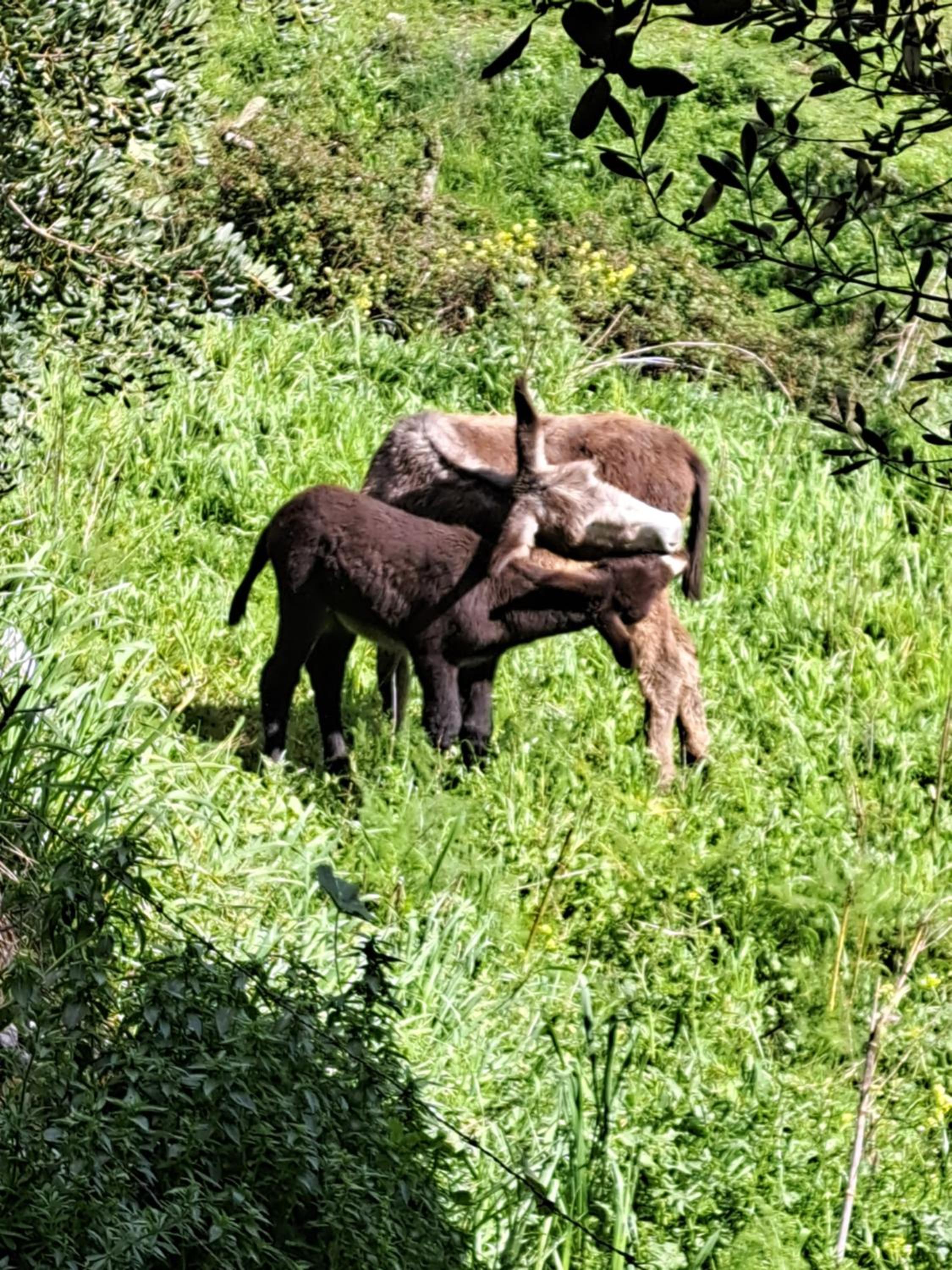 Alojamiento Rural Benaocaz