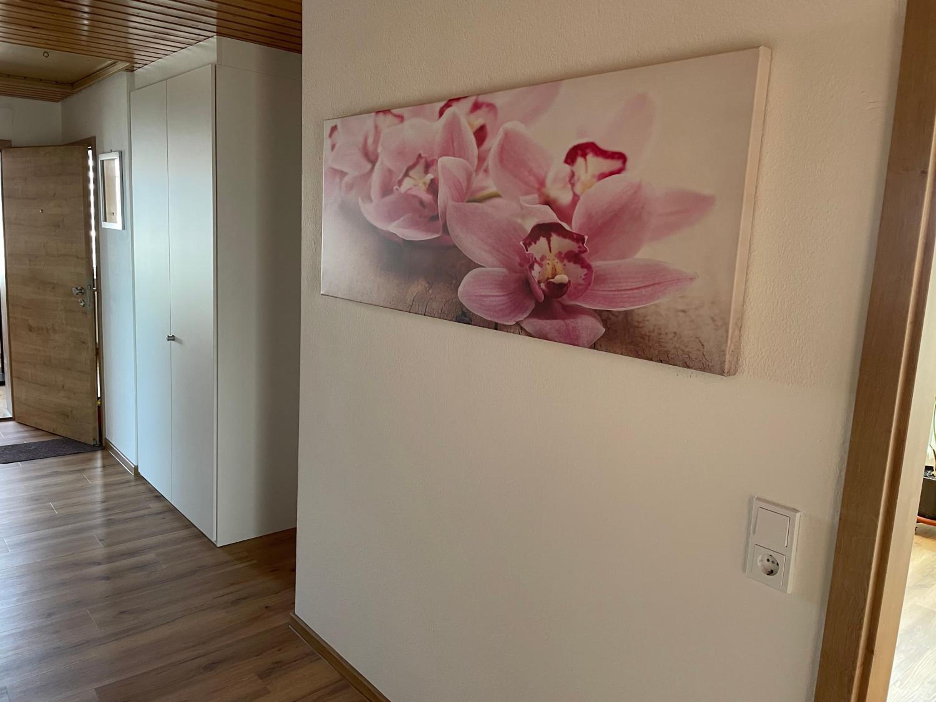 Orchidee