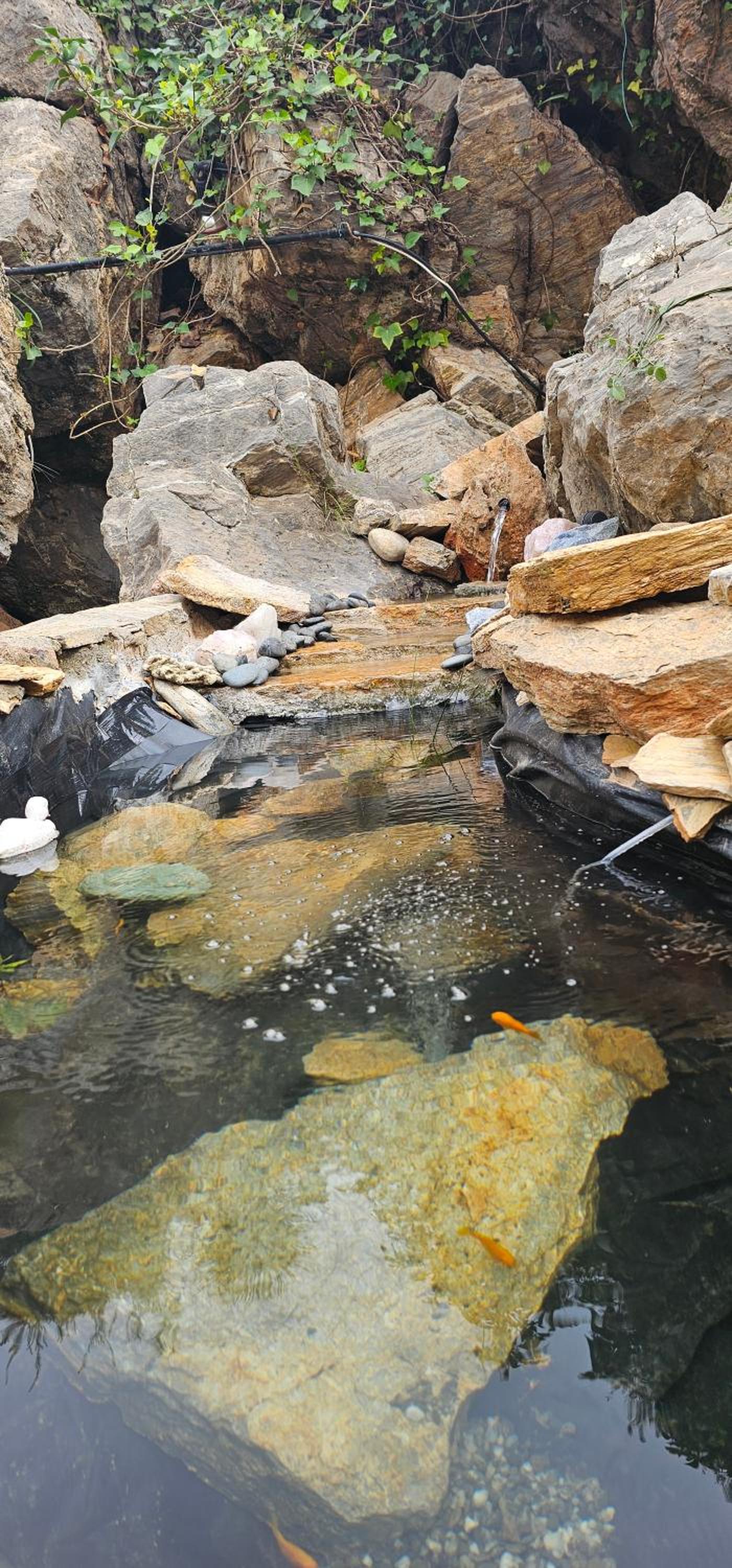 La Fuente de Vida
