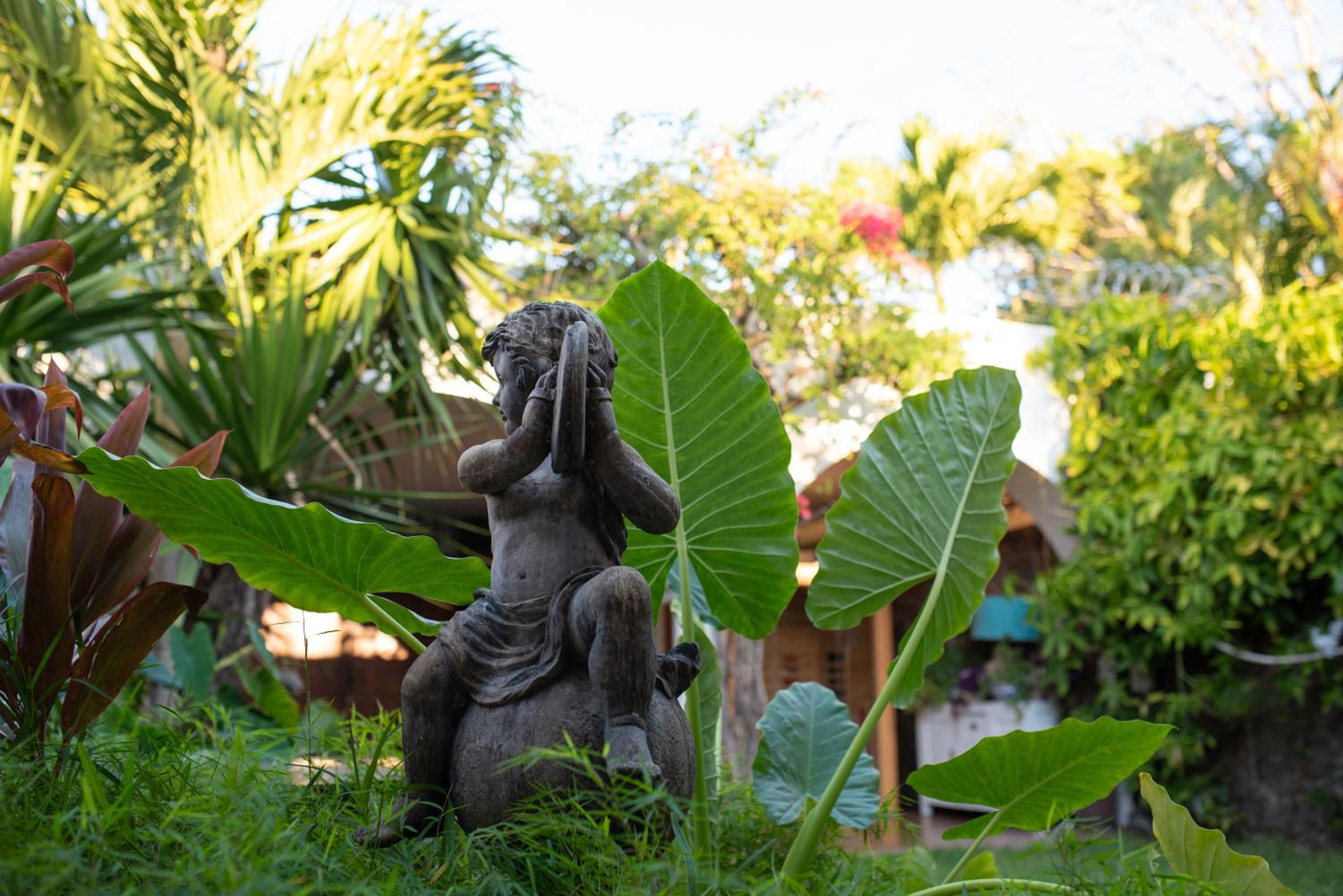 Coco Hacienda