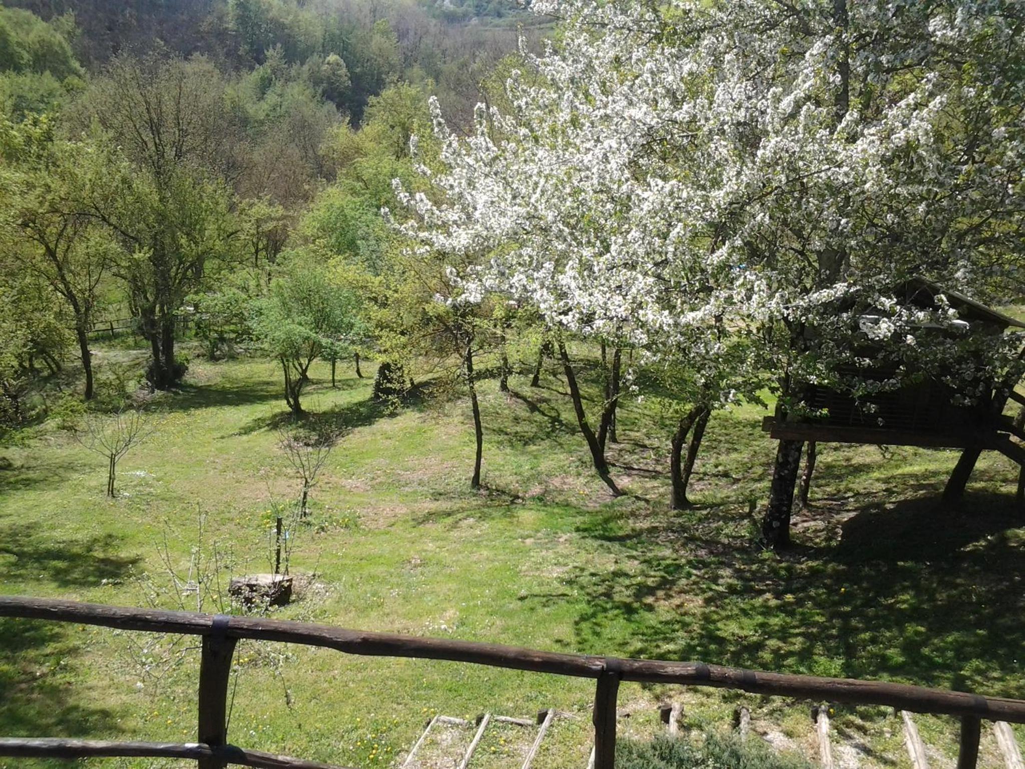 Casa Vacanze Borgo la Fratta