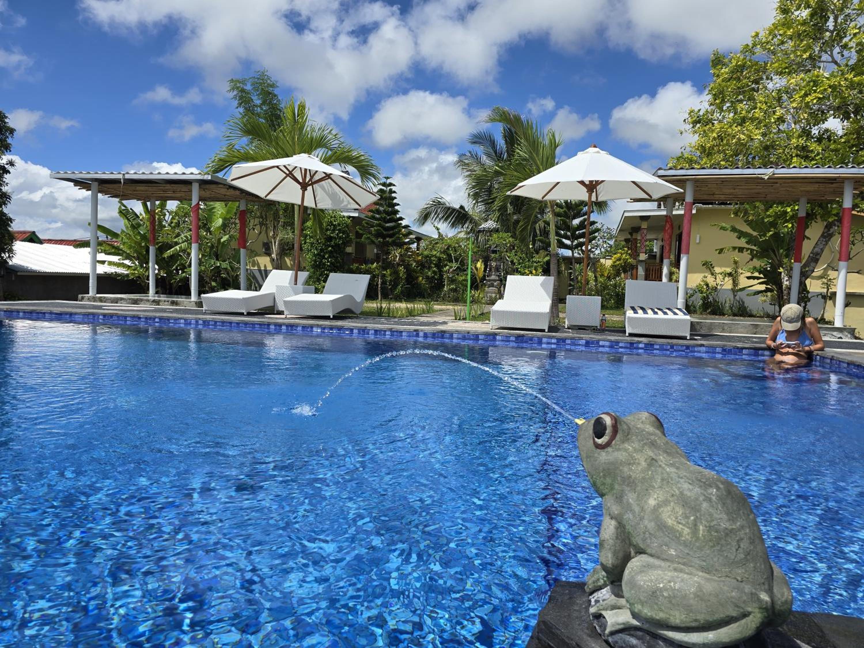 Kelingking BMS Penida Hills Villa