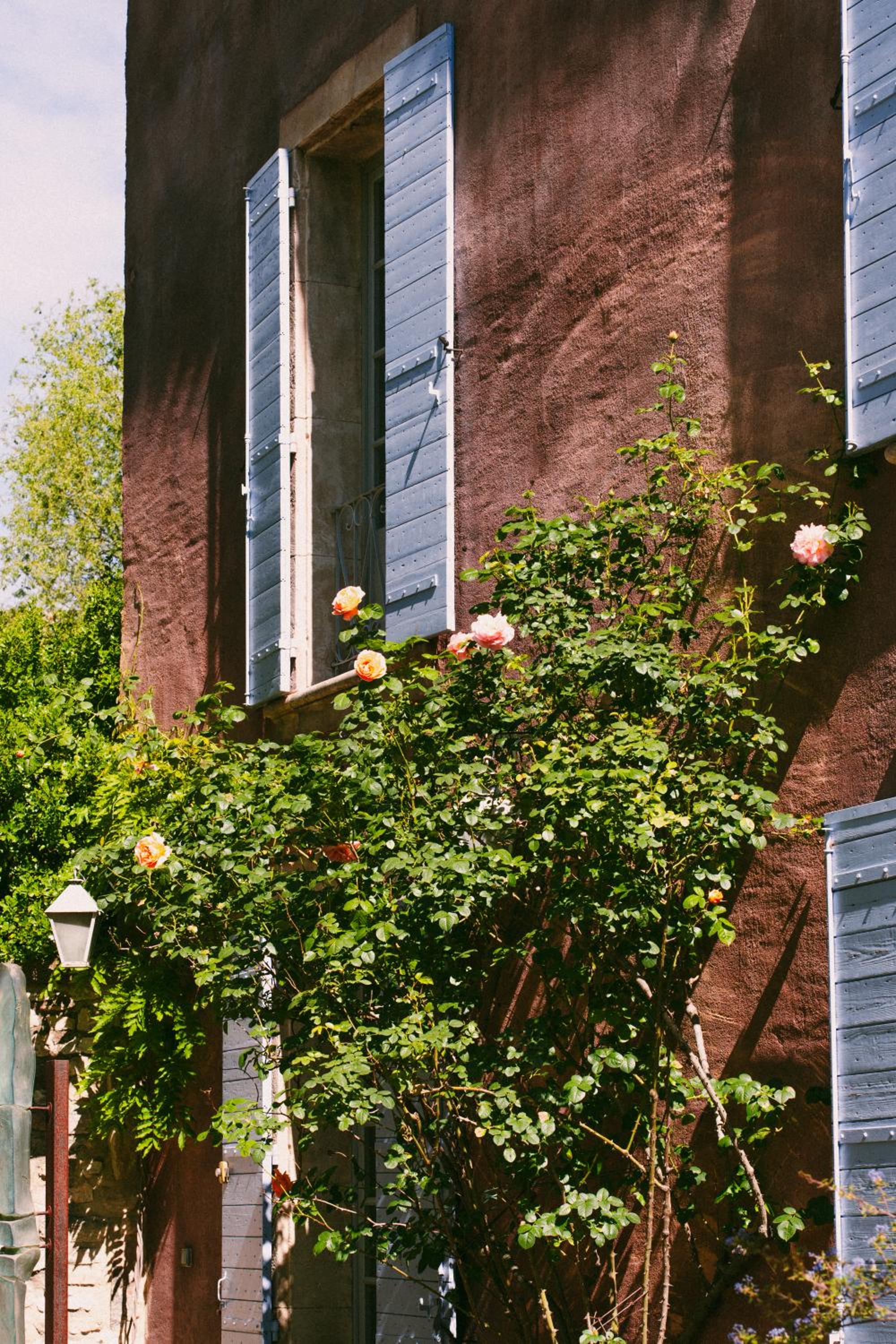 Bastide Rose, photo 5