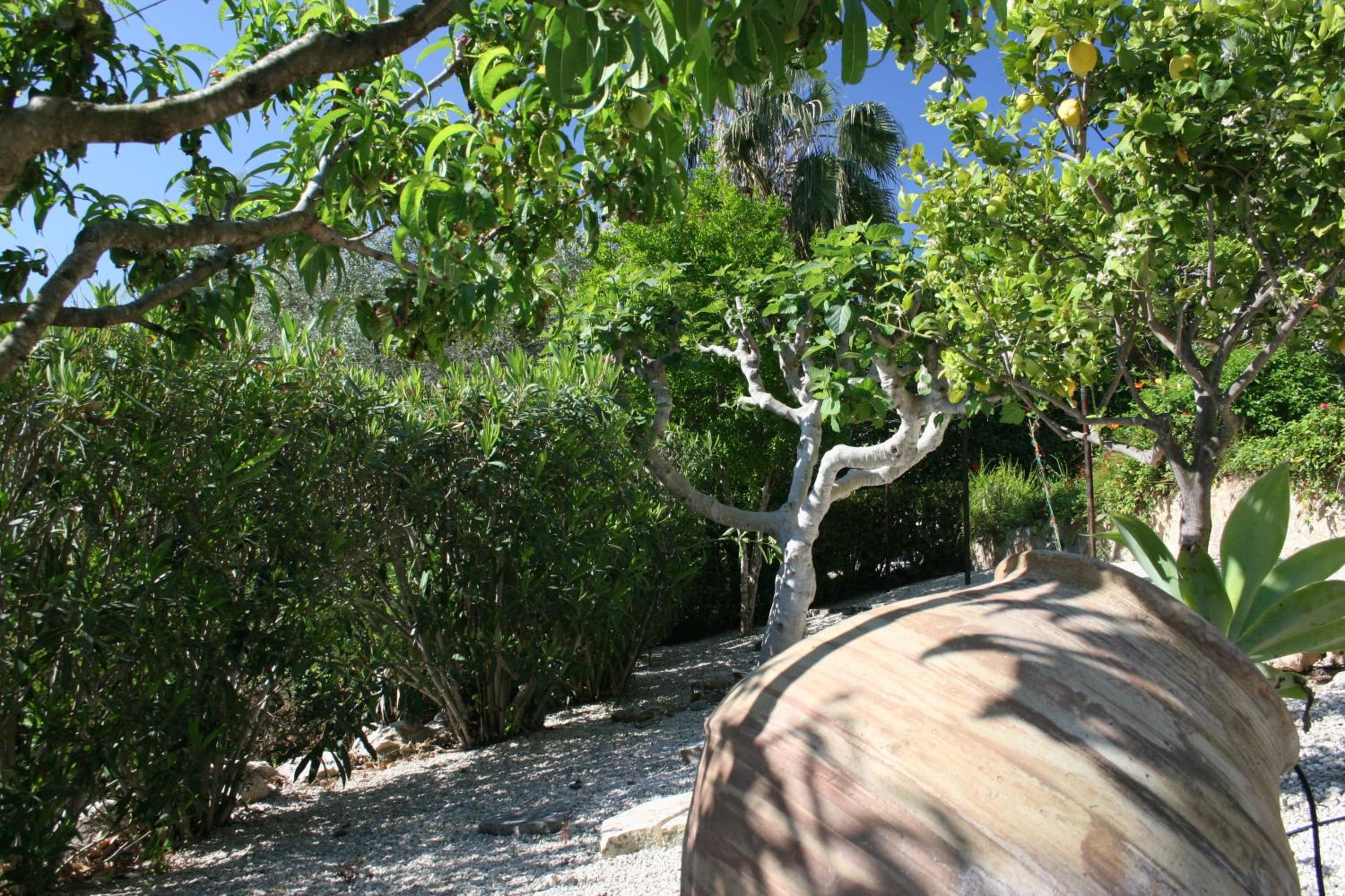 Beach Villa Elena
