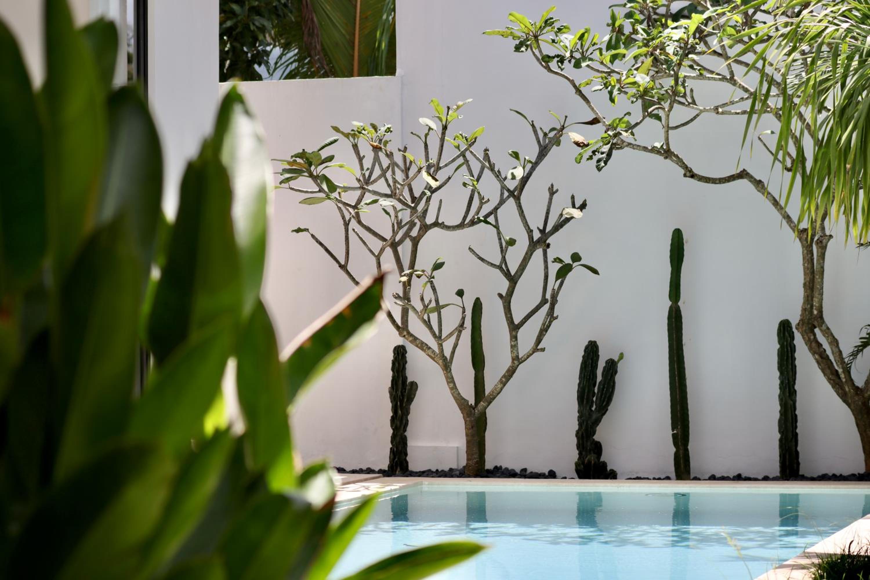 Villa Luma Uluwatu Tropical 2 bedrooms and Private Pool
