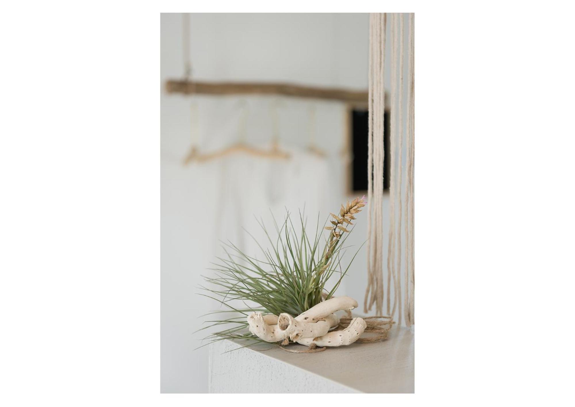Saso' - Casa di charme e relax