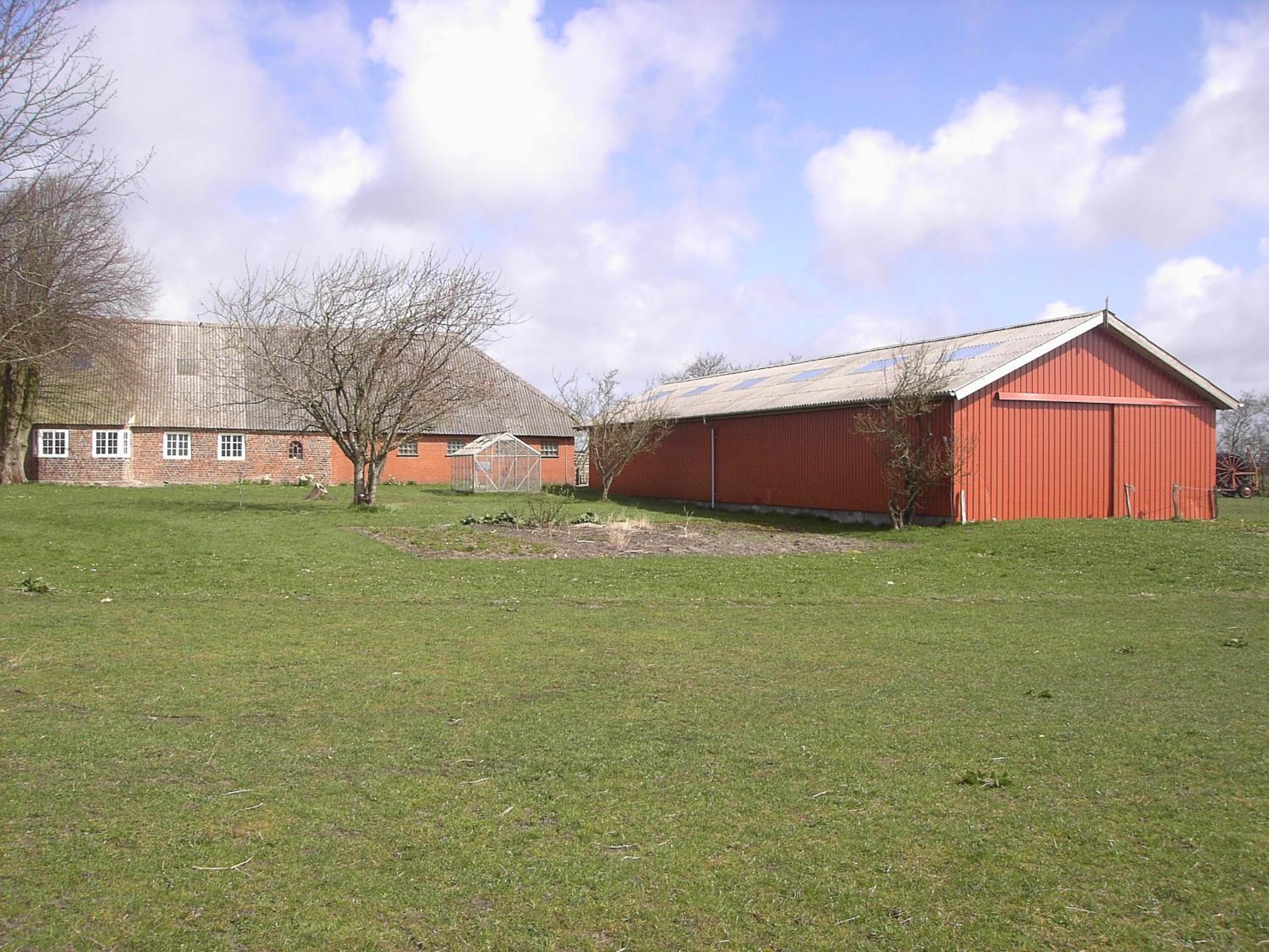 Photo 7