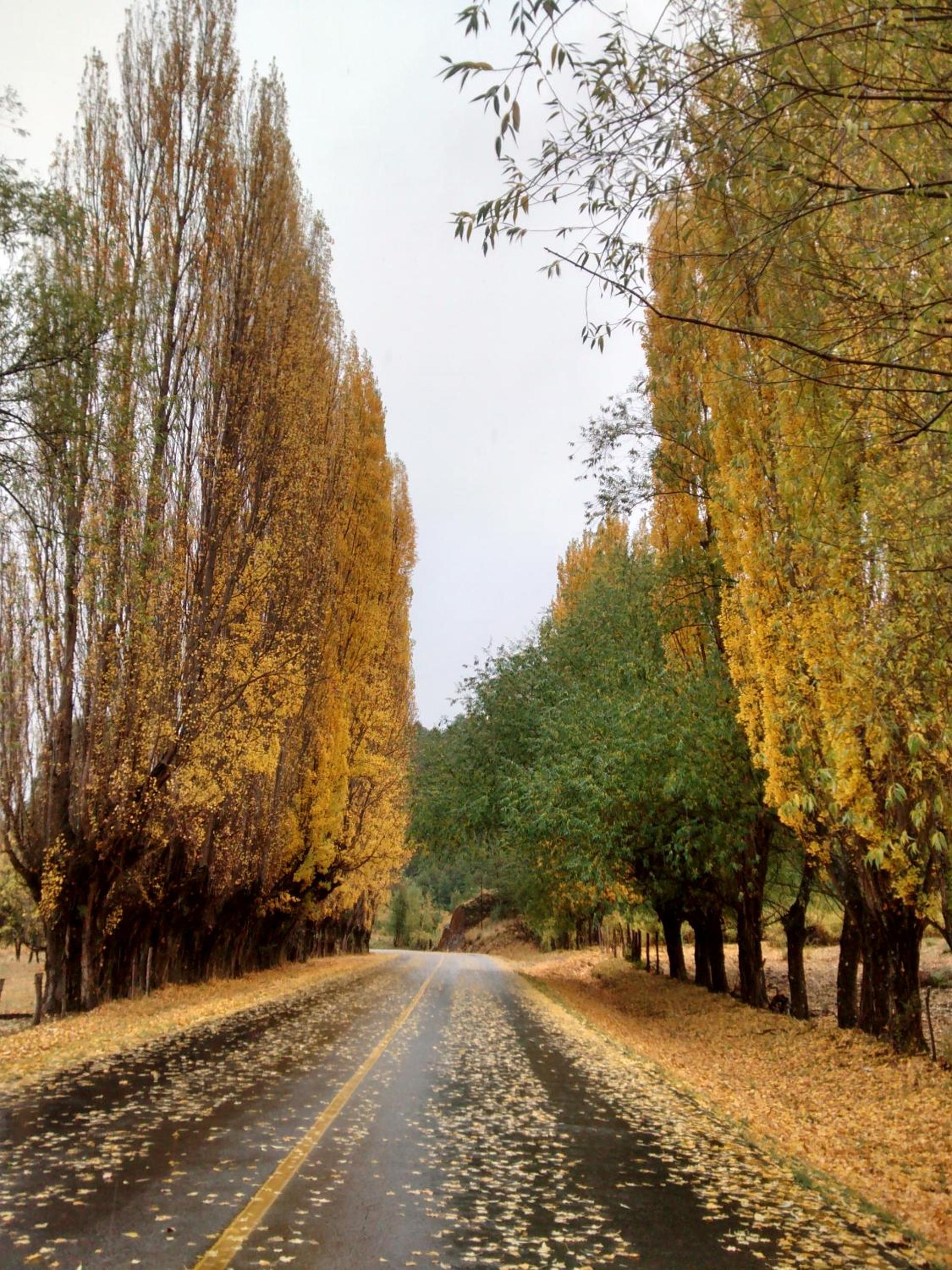 Estancia Río Abajo