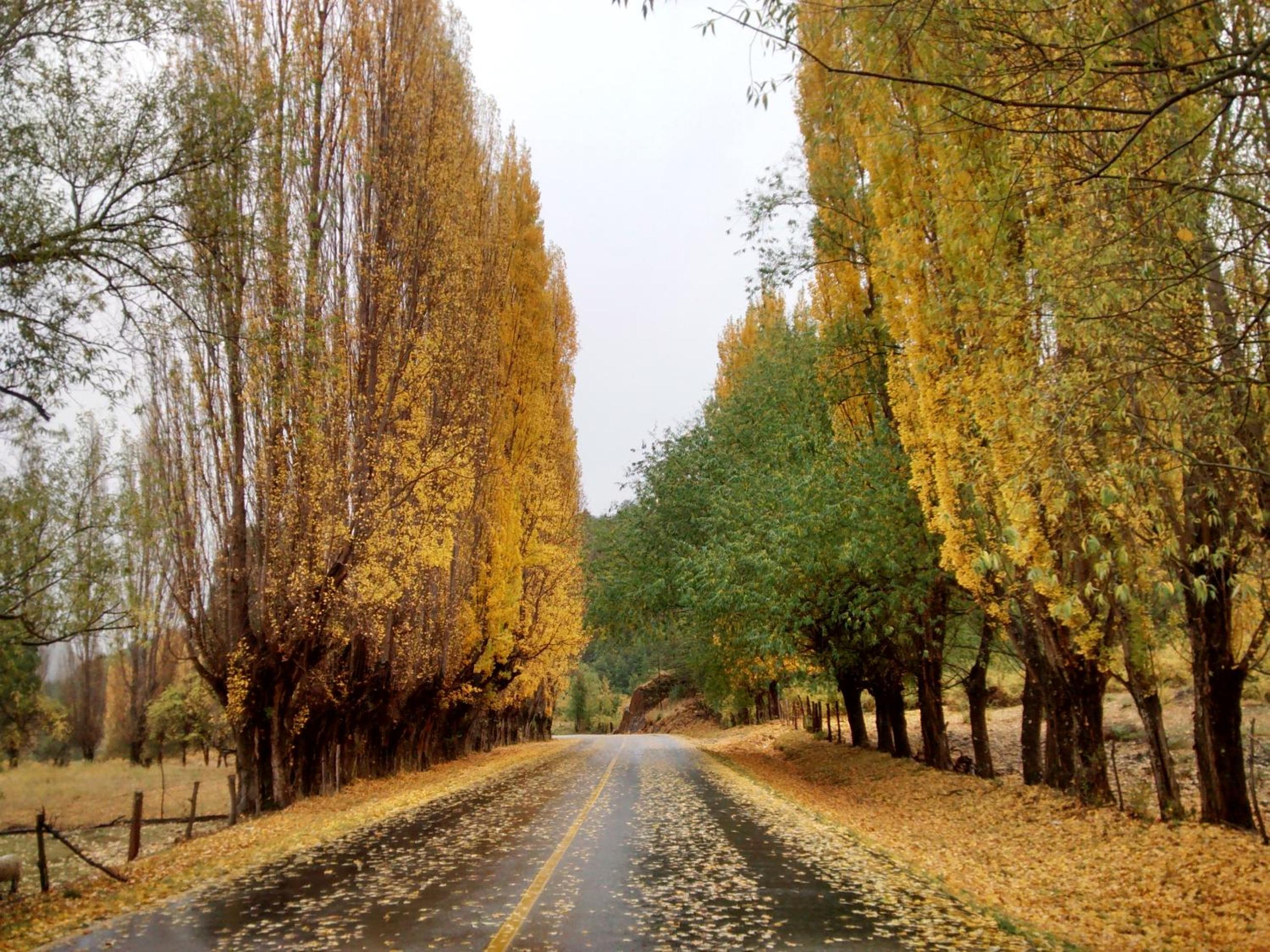 Estancia Río Abajo