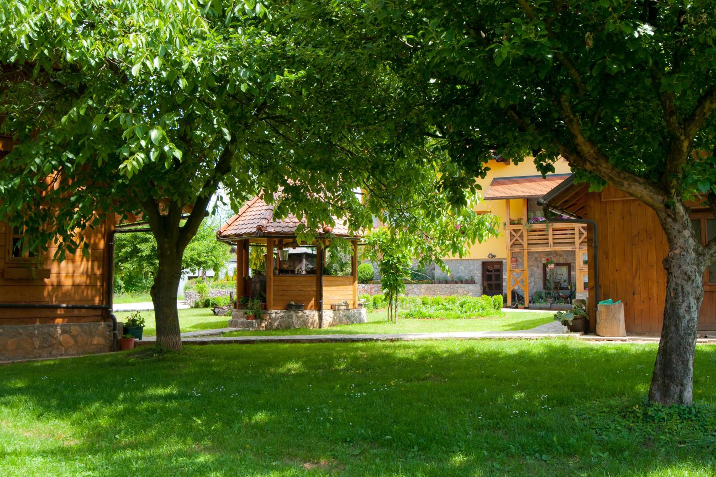 Photo 19