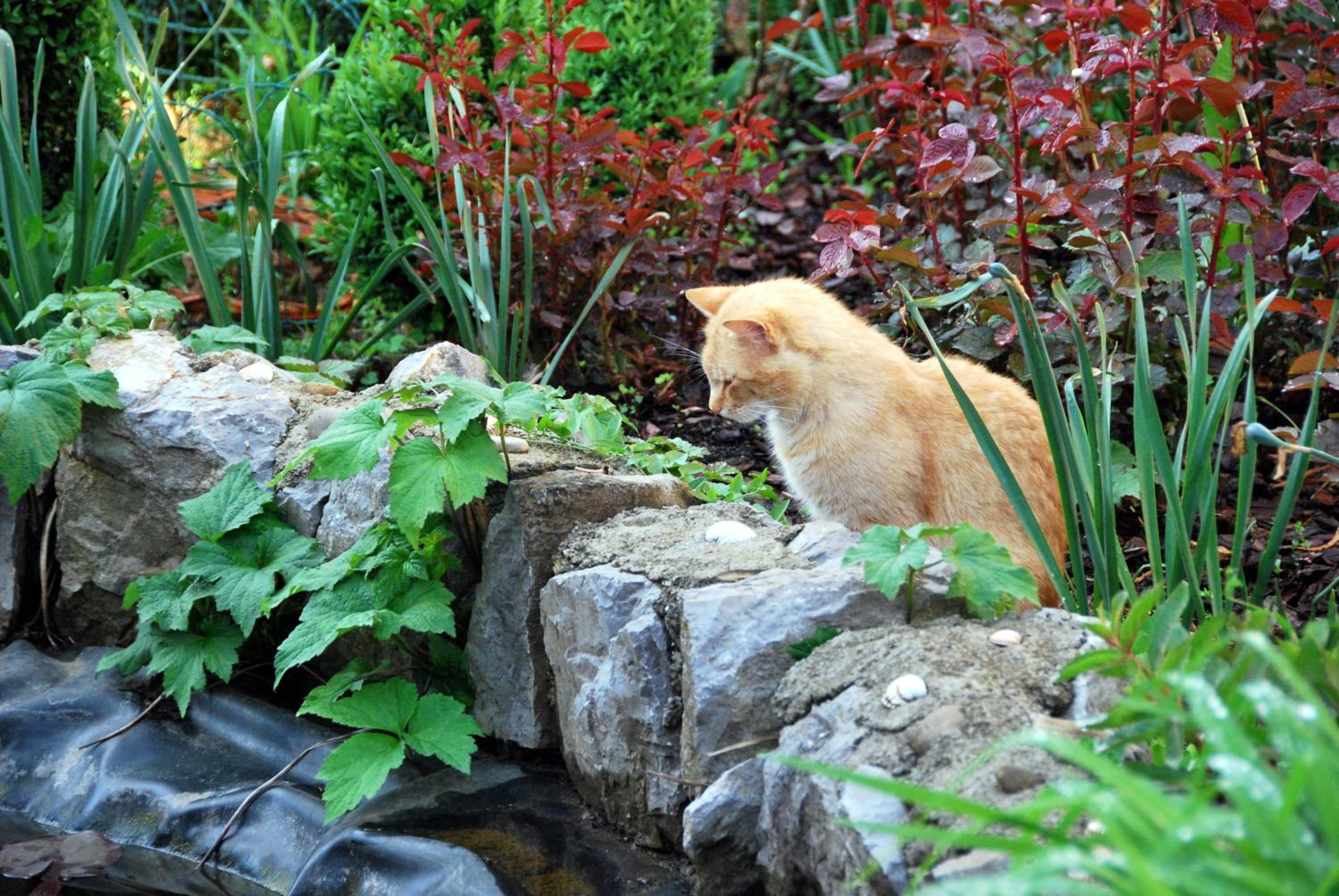 Photo 27