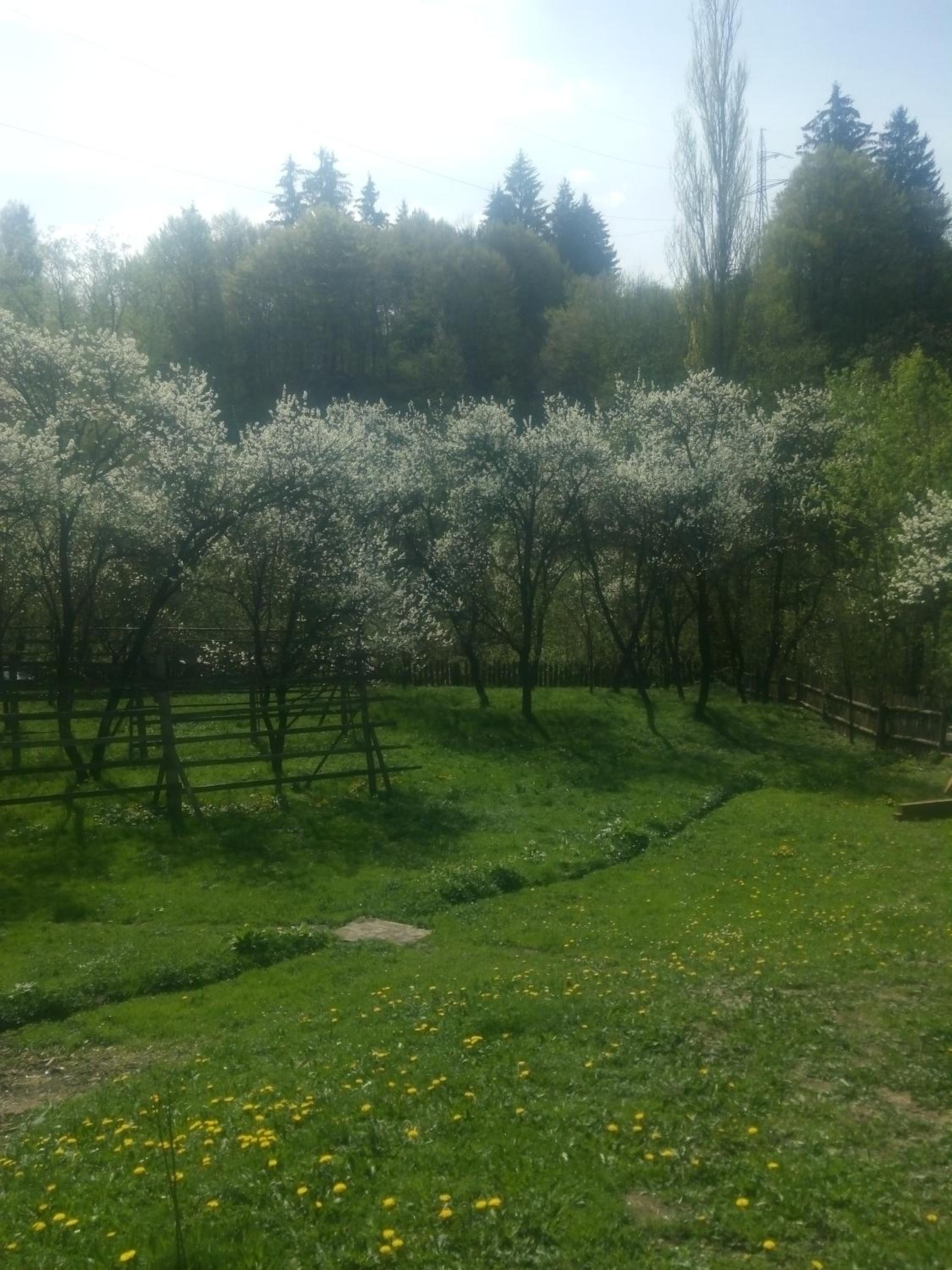 Photo 46