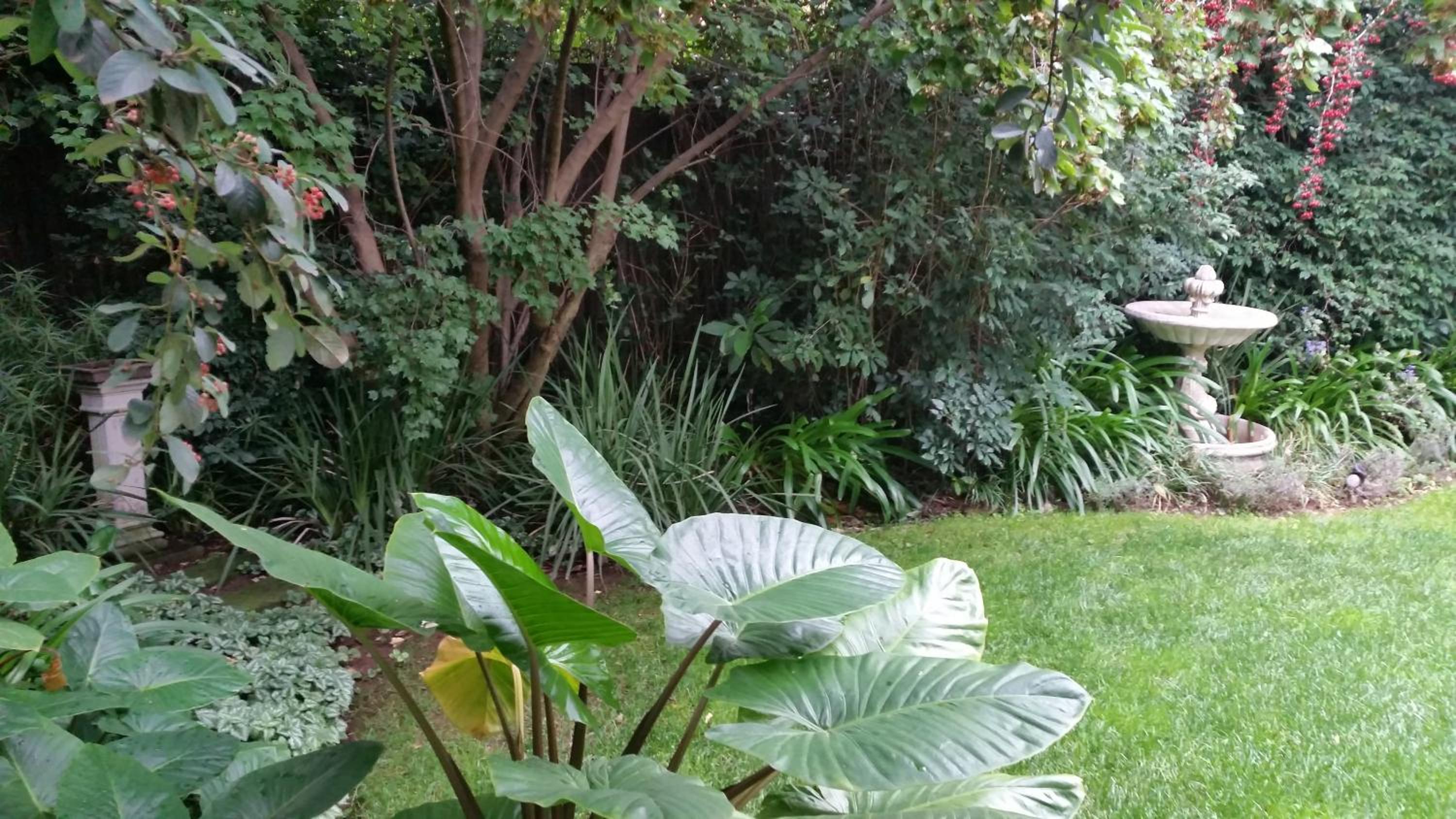 Rosebank Lodge Guesthouse by Claires
