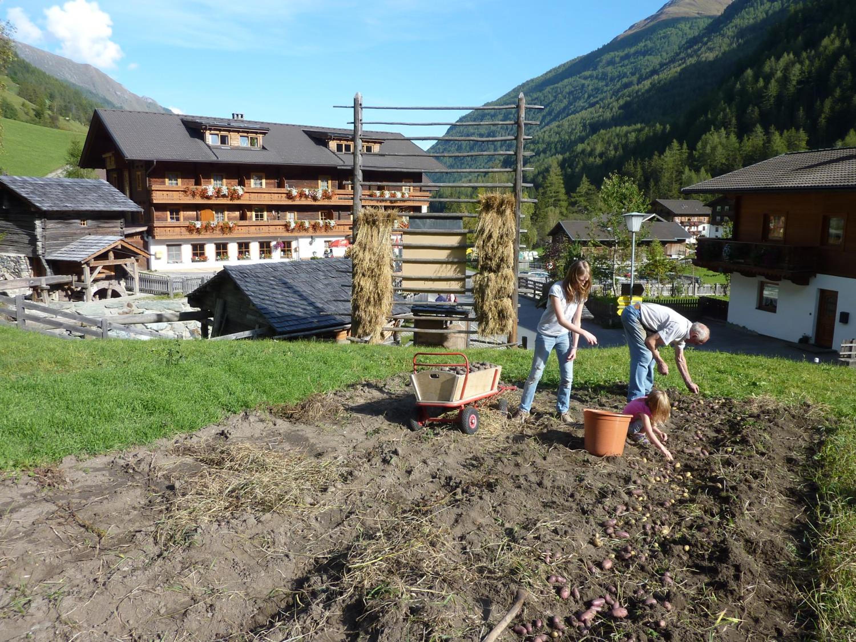 Photo 44