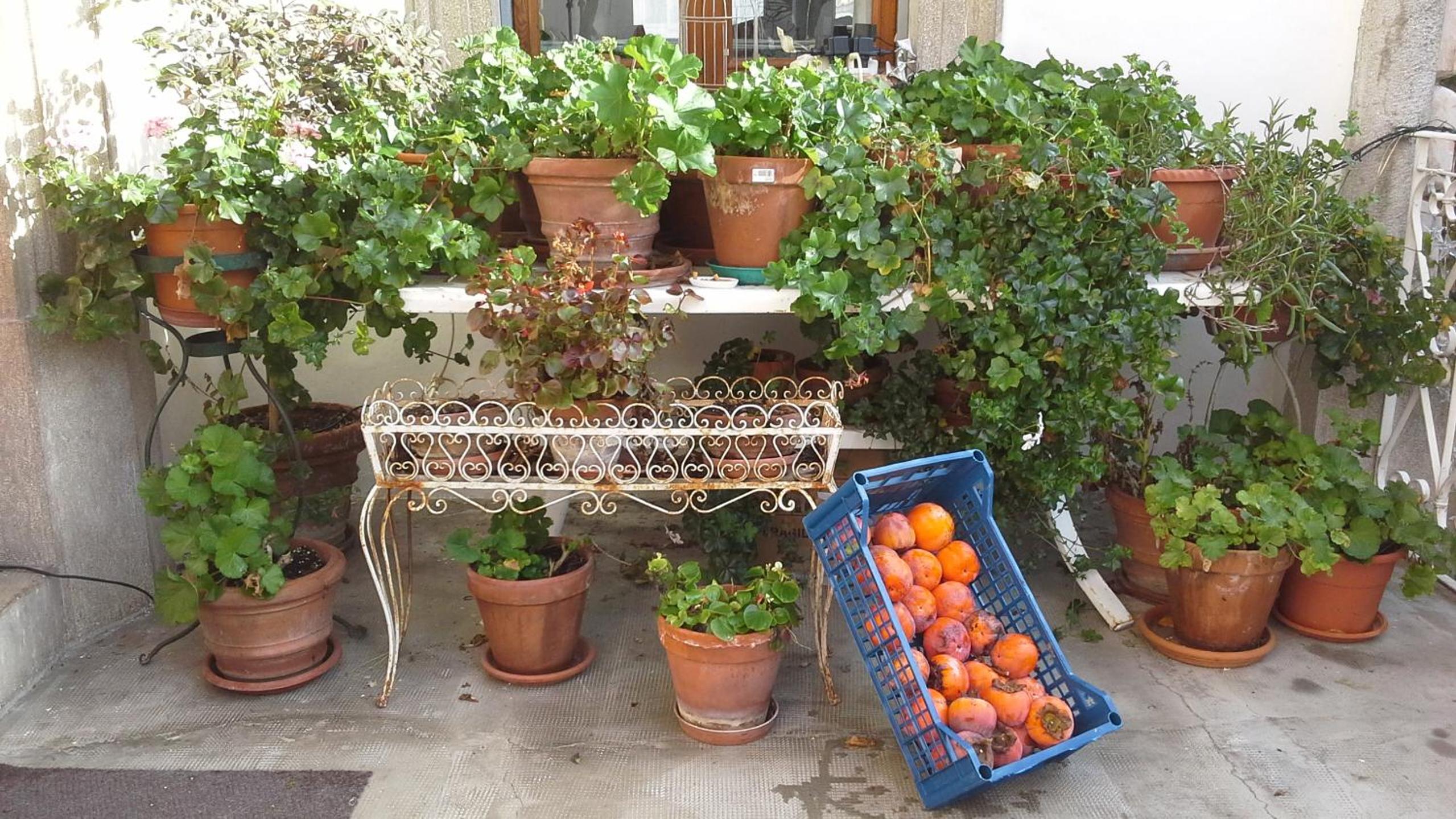 Villa Maria Bed & Breakfast, Corridonia, Marche view 5