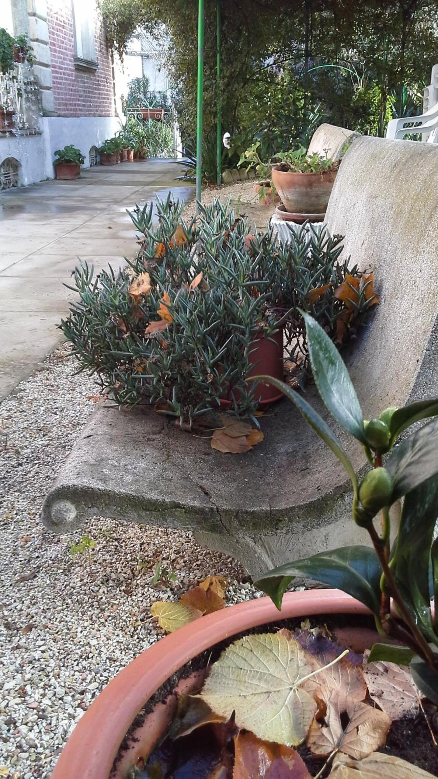 Villa Maria Bed & Breakfast, Corridonia, Marche view 2