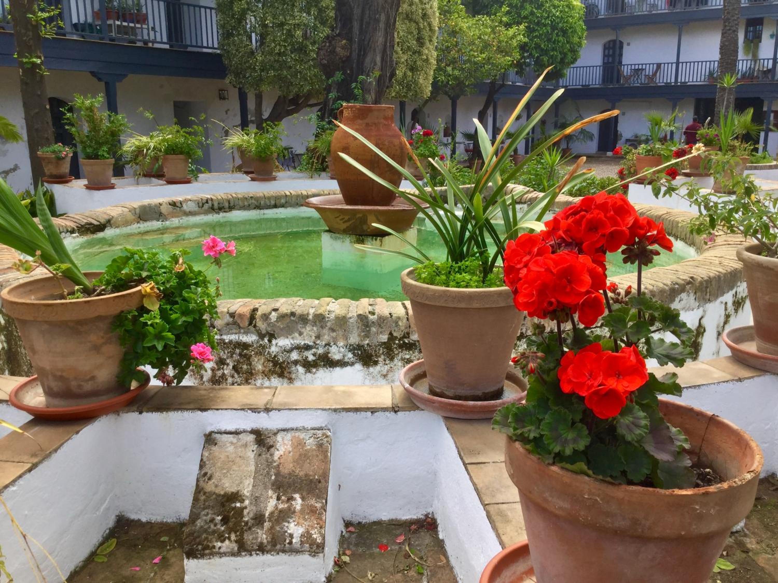 Andalusian Courtyard