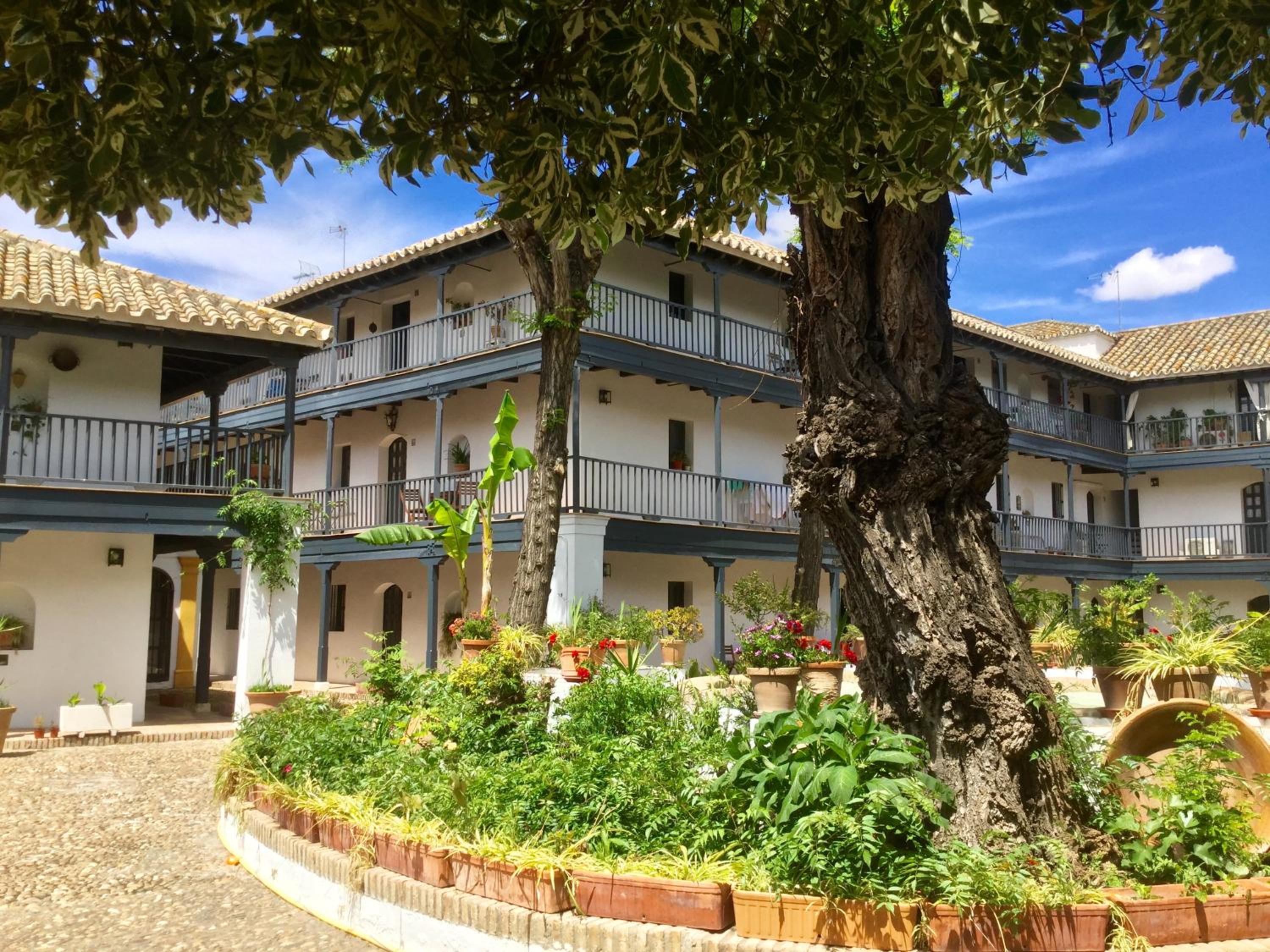 Andalusian Courtyard