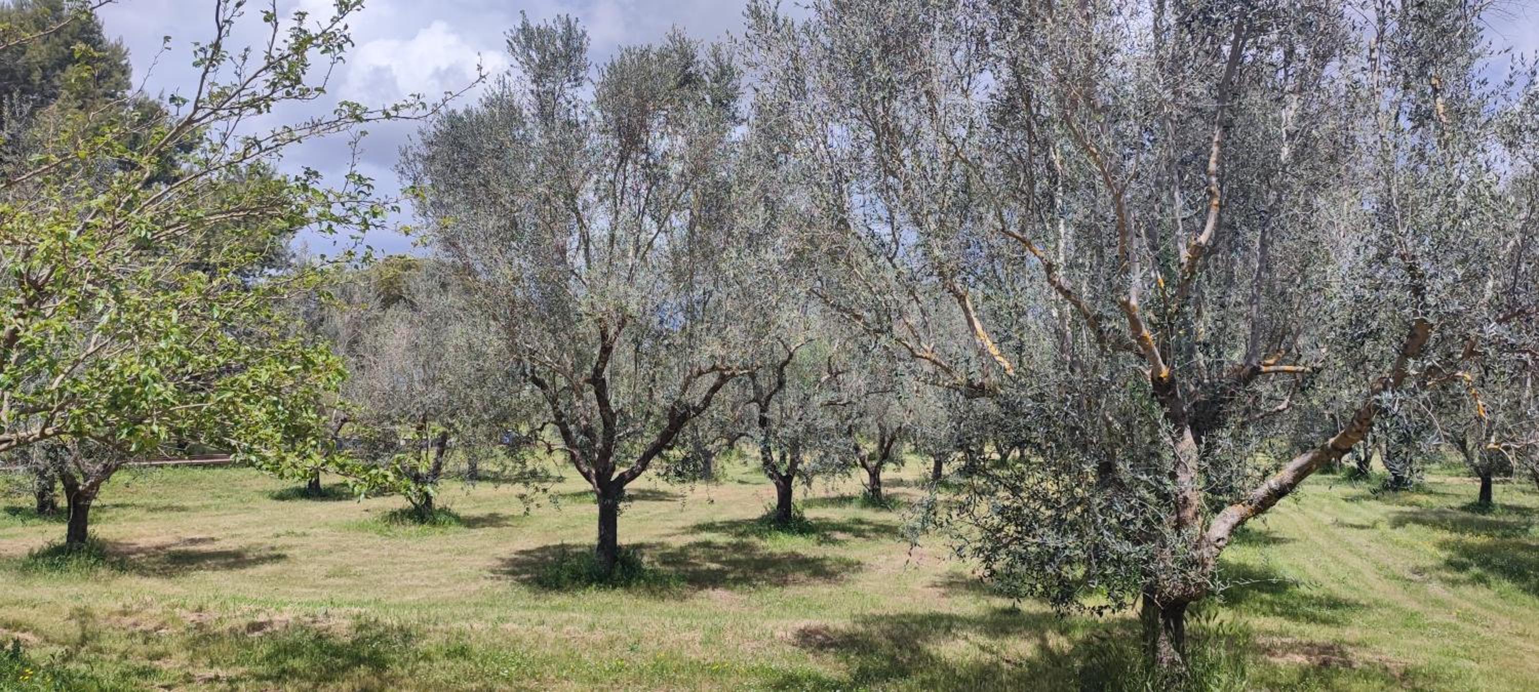 Dimora Donna Rita - monolocale in locazione turistica