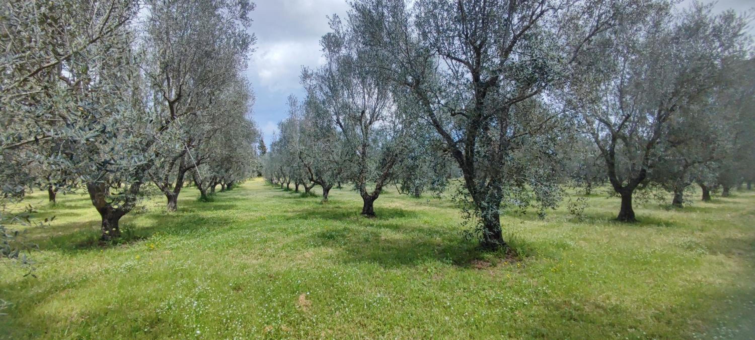 Dimora Donna Rita - monolocale in locazione turistica