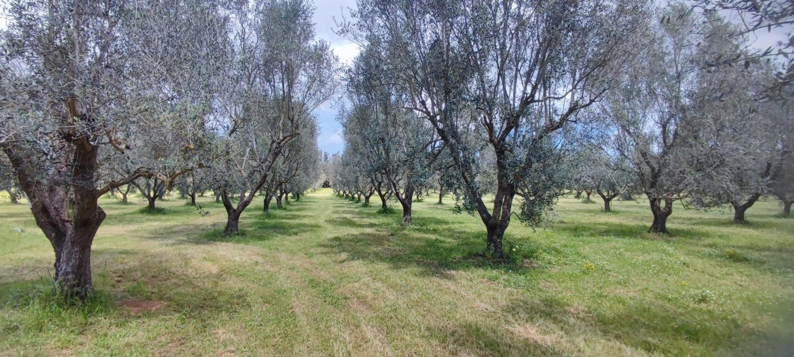 Dimora Donna Rita - monolocale in locazione turistica