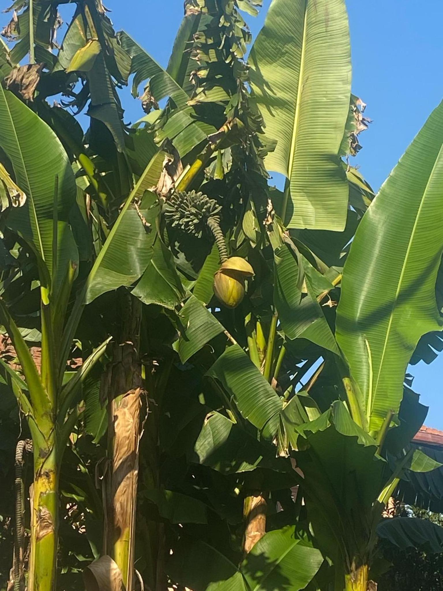 Villetta Garbata
