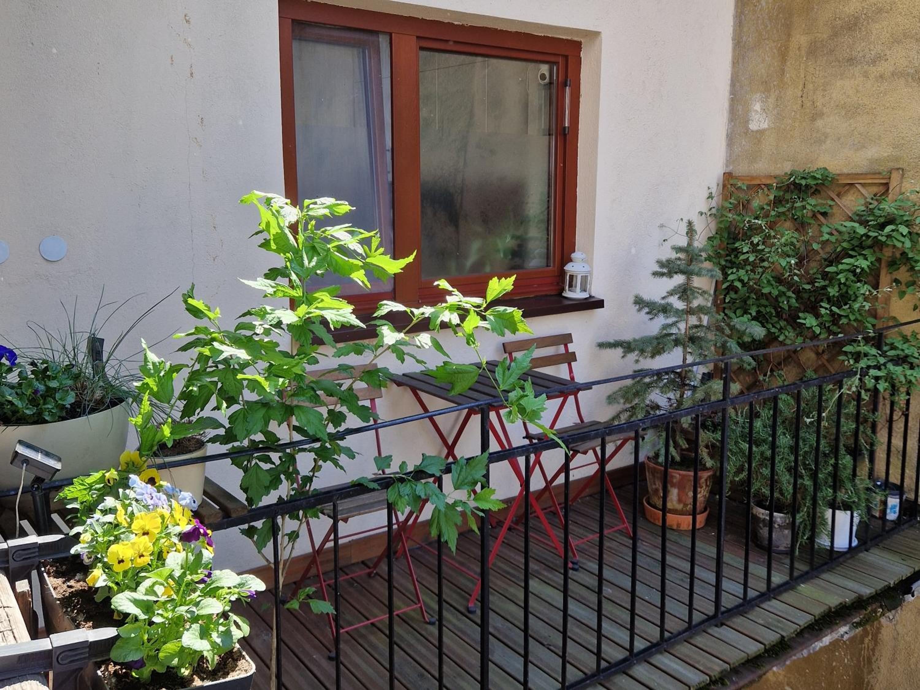 Podgorze Forum Apartment