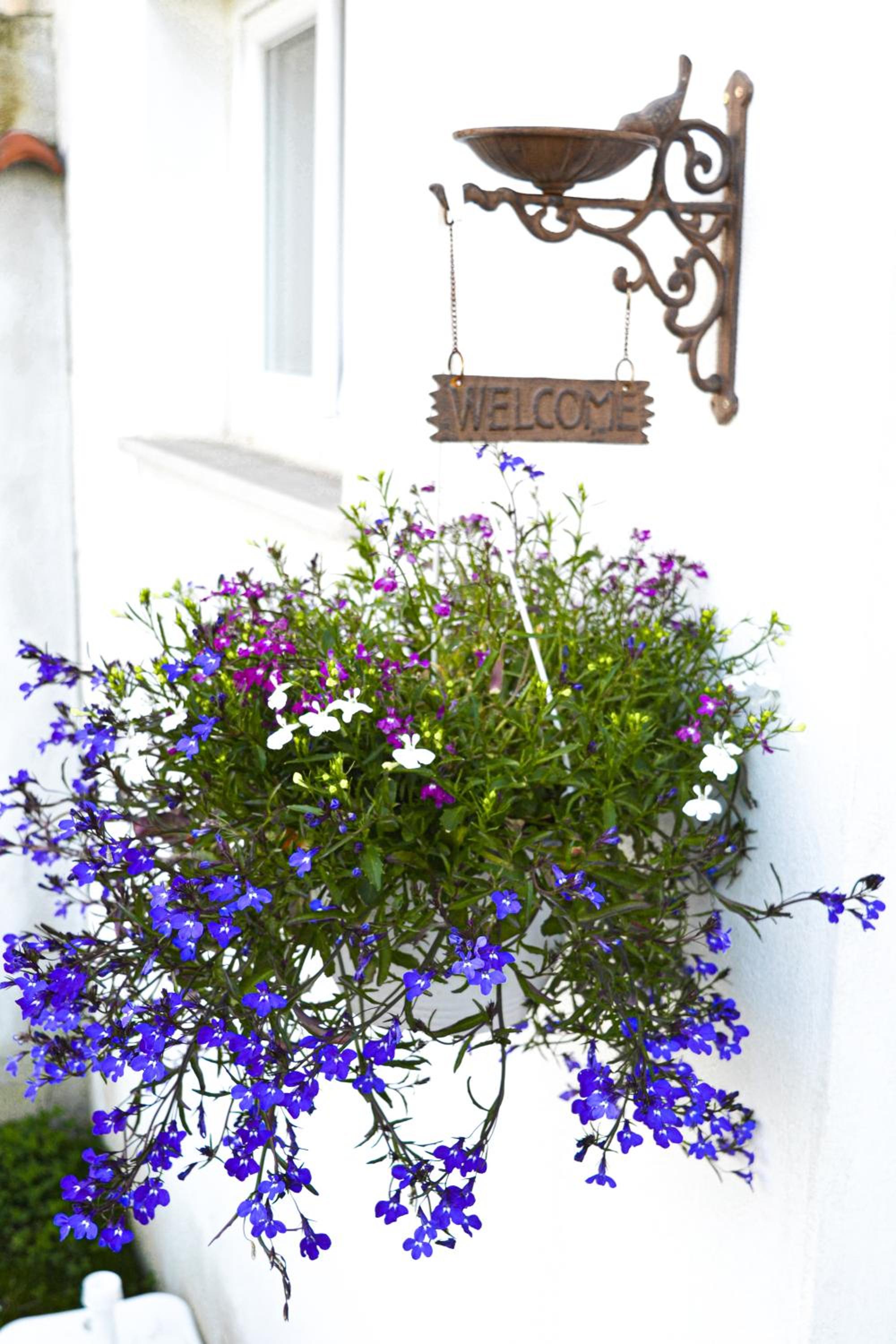 Rigoletto Cilento with private garden and pool