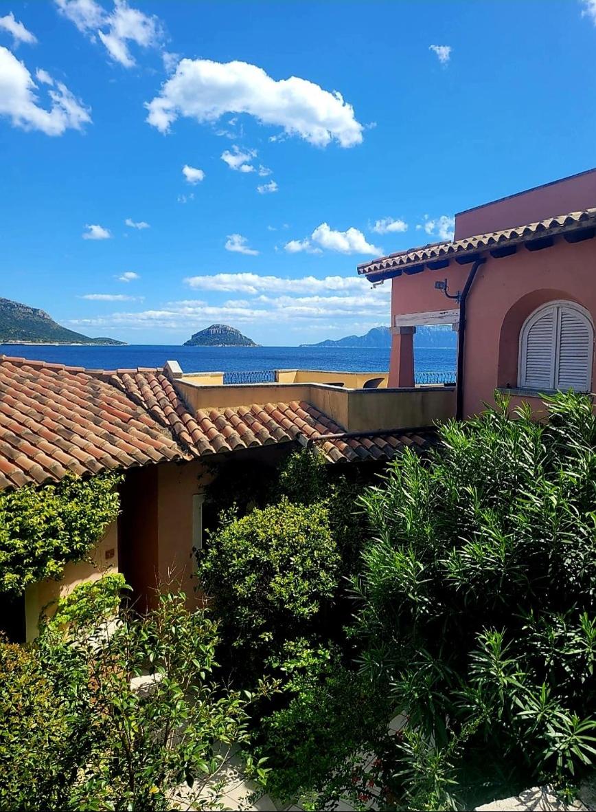 Swimming pool & Beach access Residence