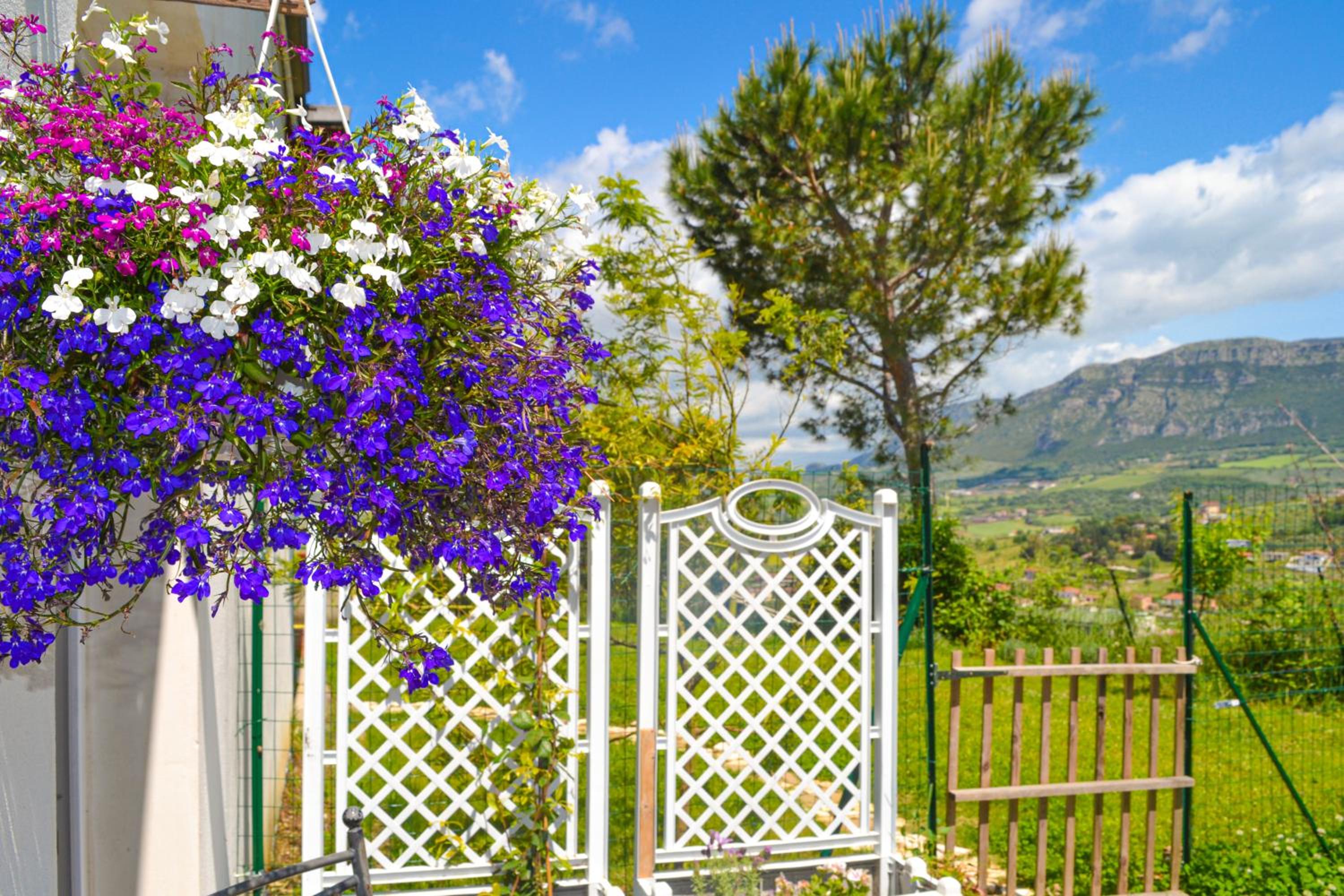 Rigoletto Cilento with private garden and pool