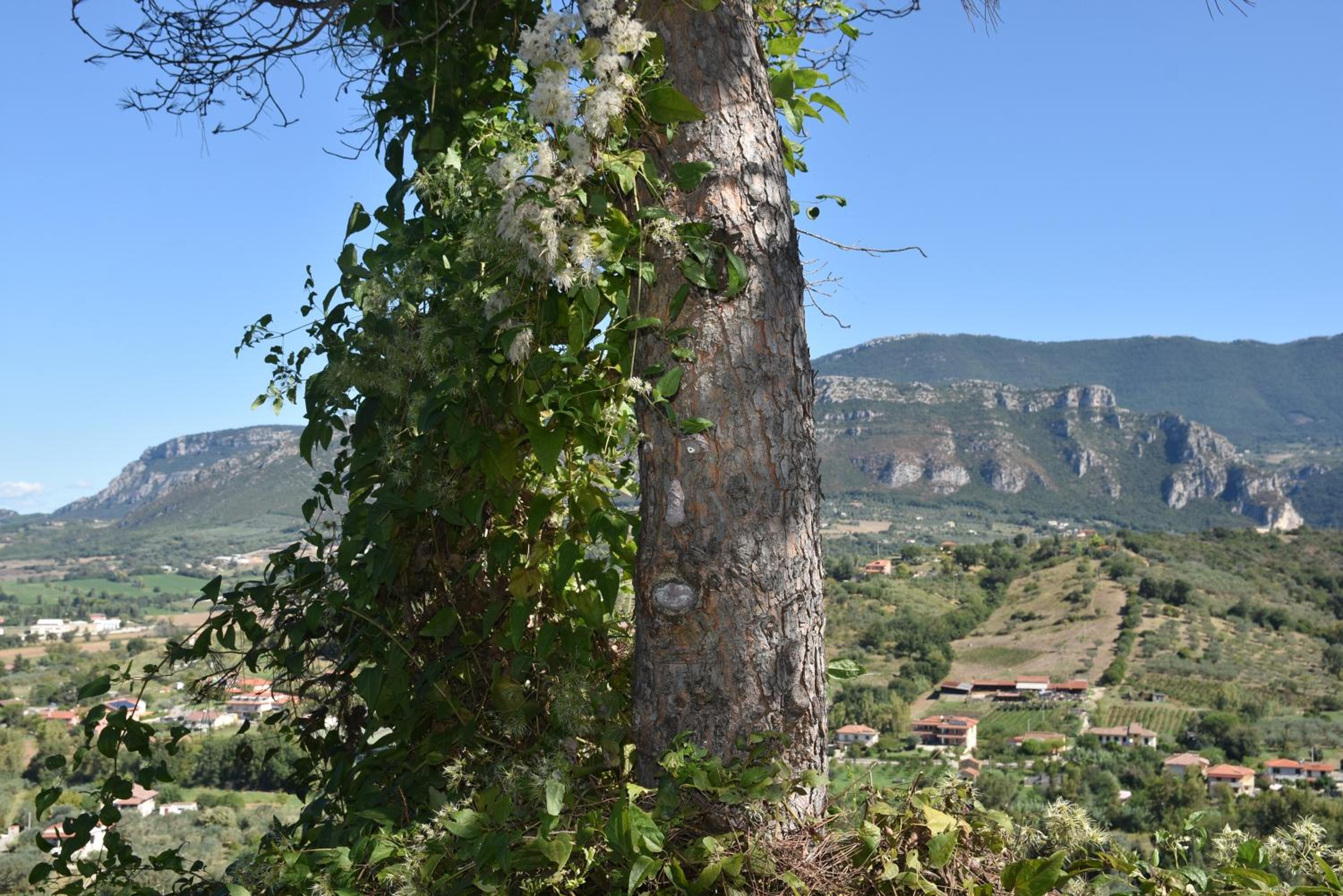 Rigoletto Cilento with private garden and pool