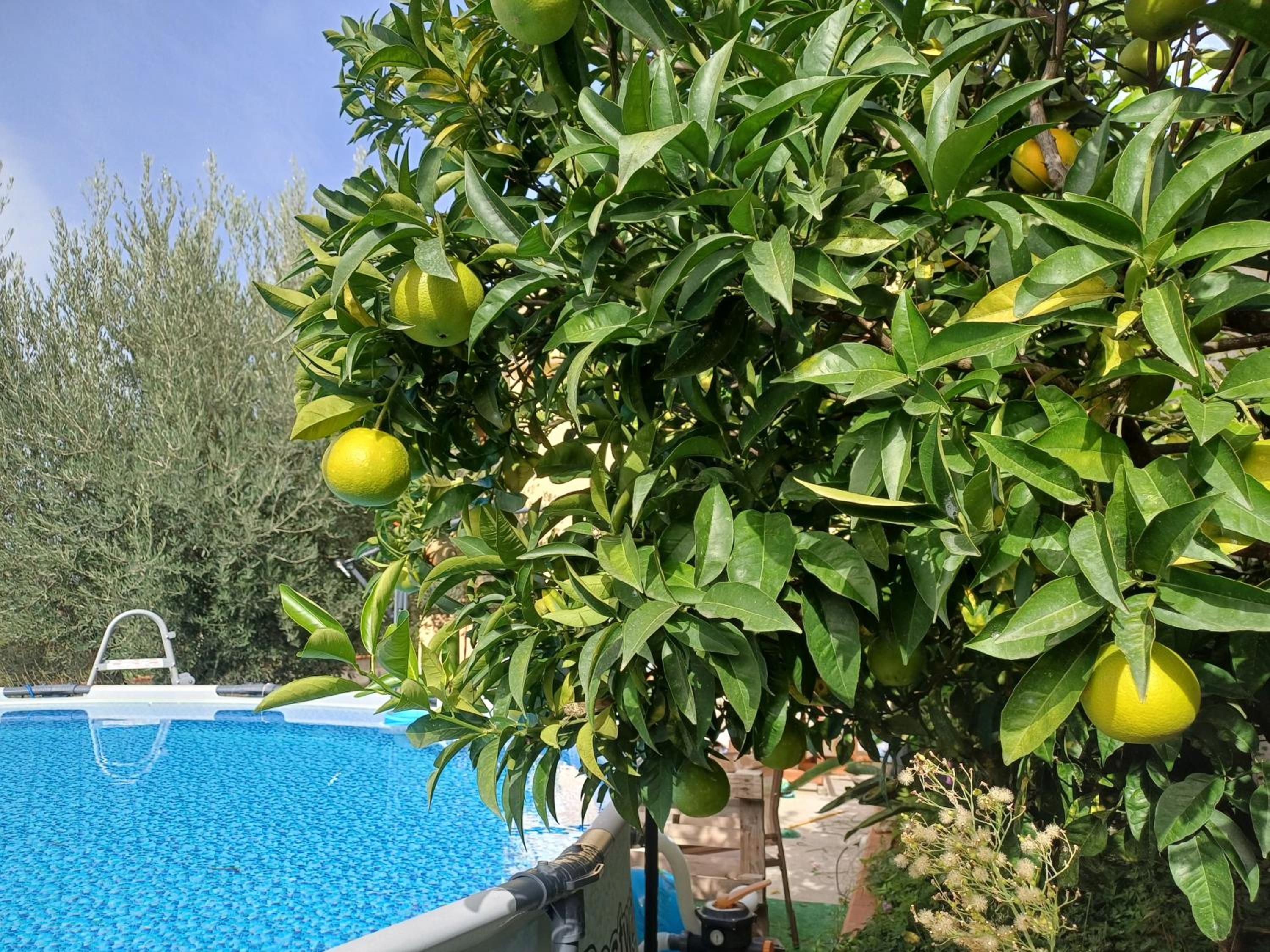 Rigoletto Cilento with private garden and pool