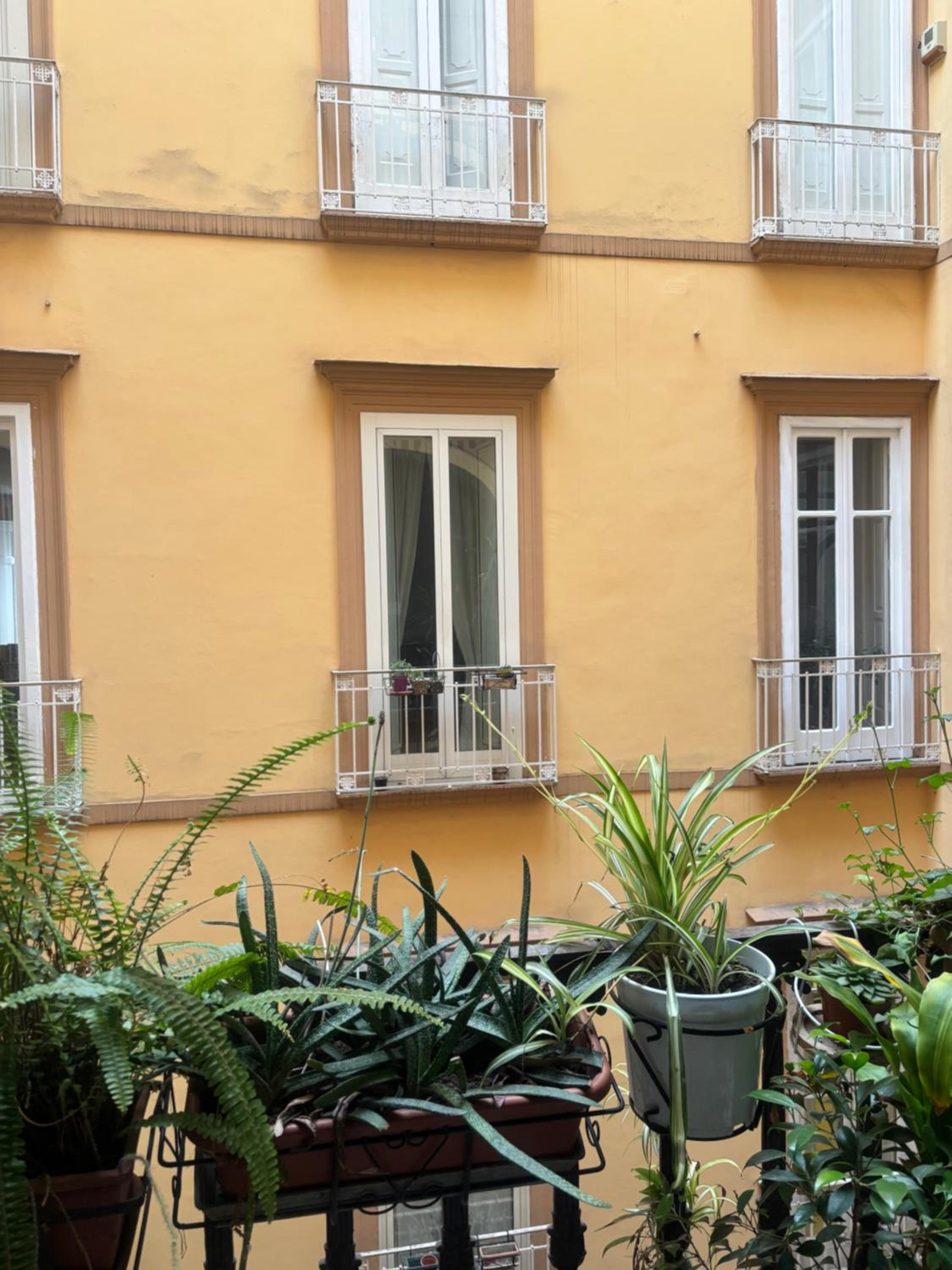 Napoli Centro Antico 77