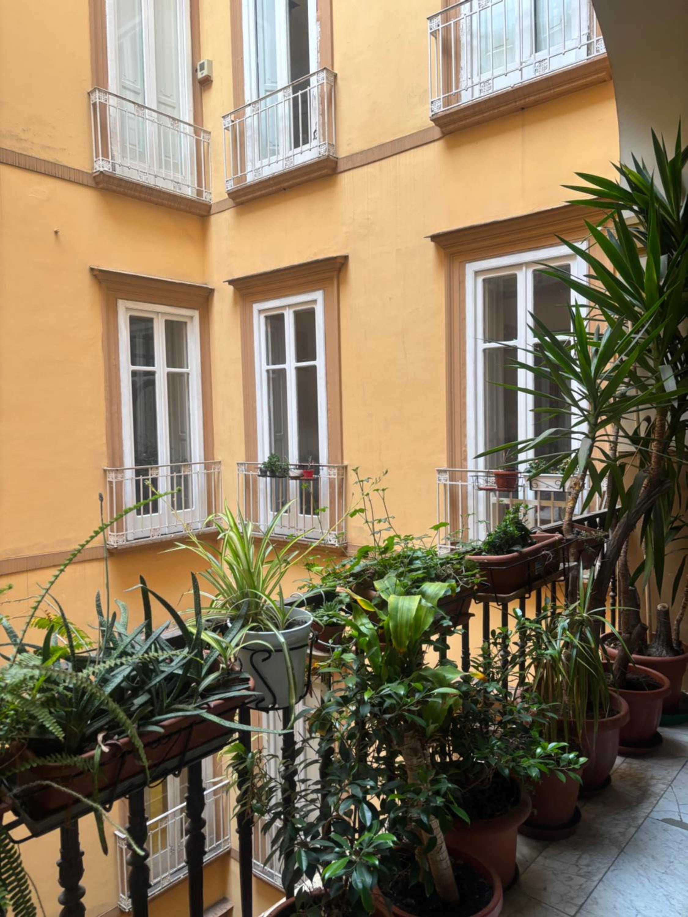Napoli Centro Antico 77
