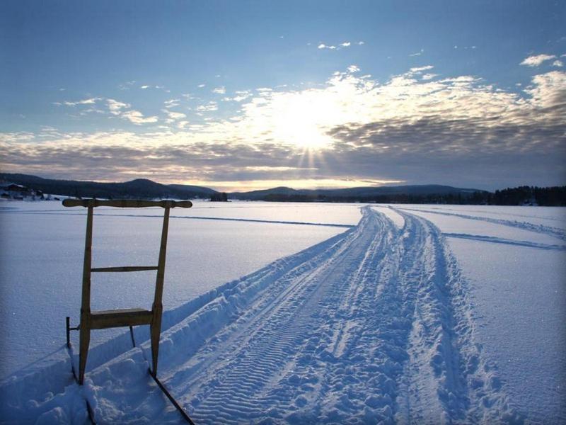 Photo 44