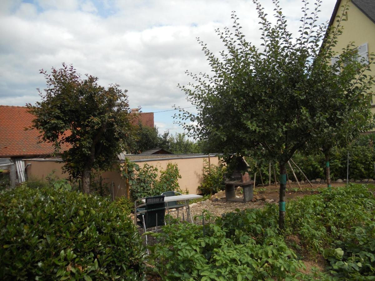 Photo 27