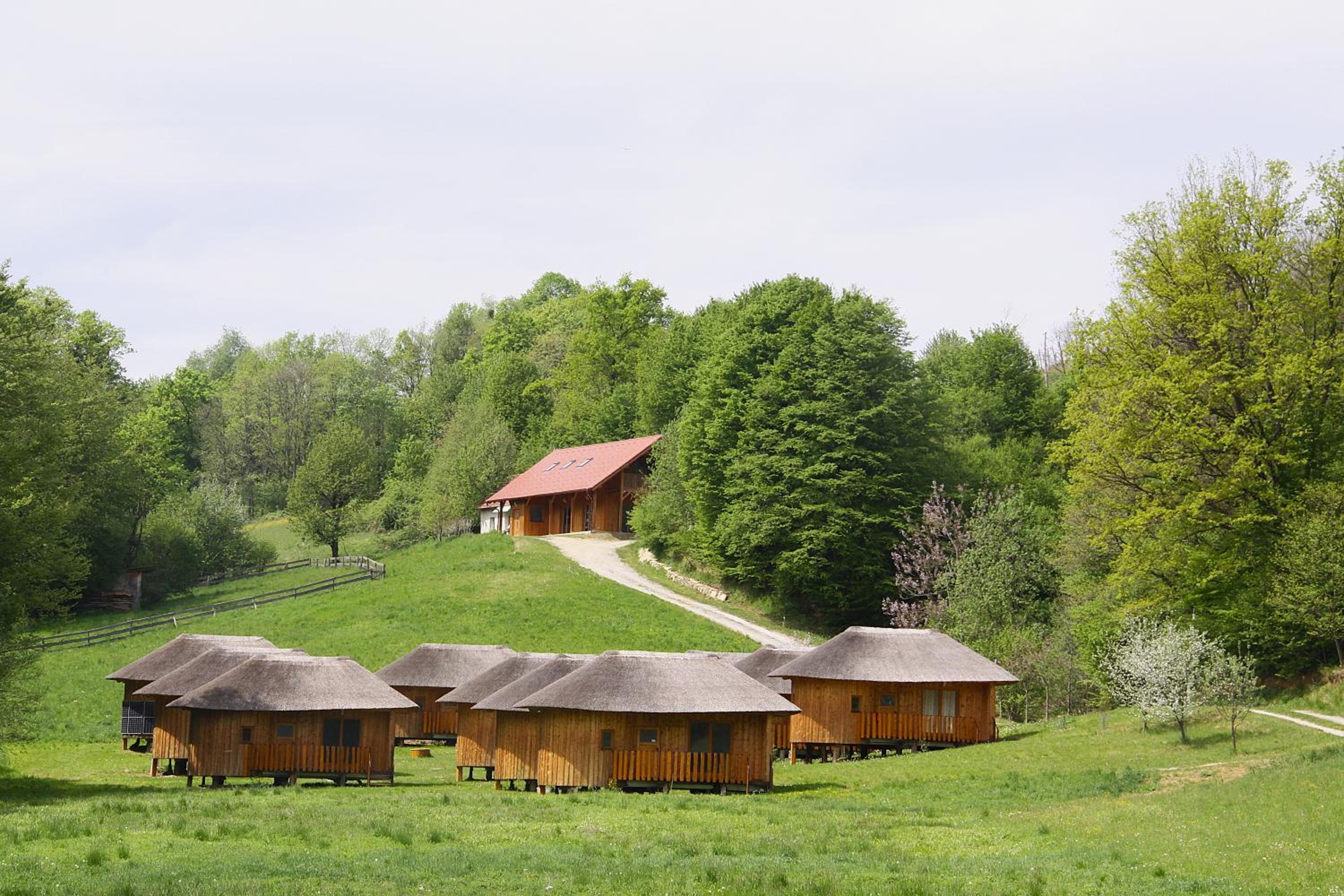 Bionic healing village